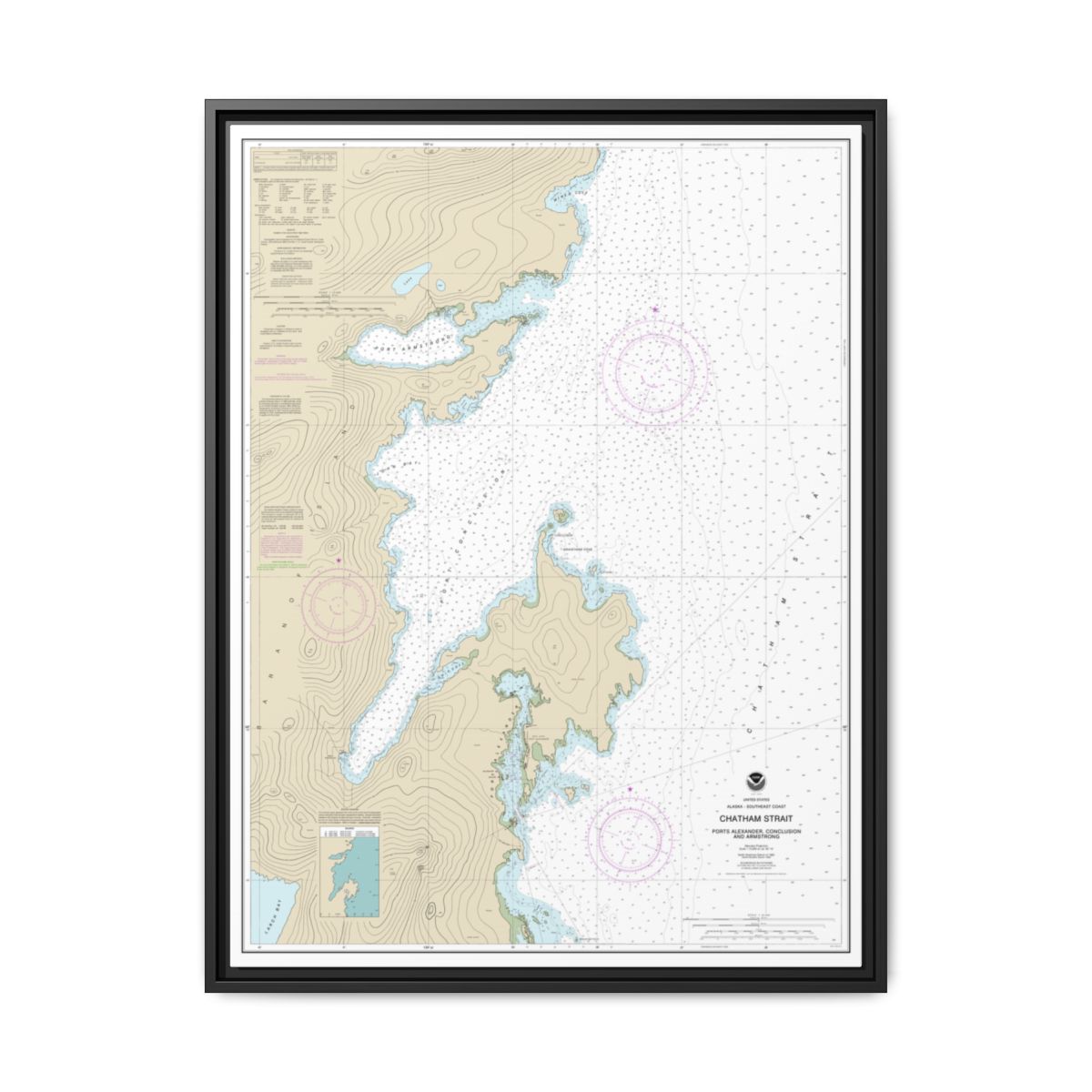 Chart 17331 Chatham Strait Ports Alexander, Conclusion, and Armstrong - NOAA Nautical Chart Floating Frame Canvas | 24" x 32" | 30" x 40" - Black front