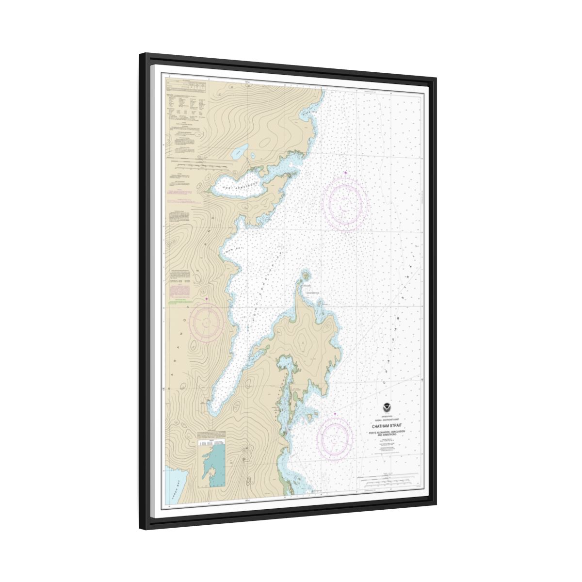 Chart 17331 Chatham Strait Ports Alexander, Conclusion, and Armstrong - NOAA Nautical Chart Floating Frame Canvas | 24" x 32" | 30" x 40" - Black side