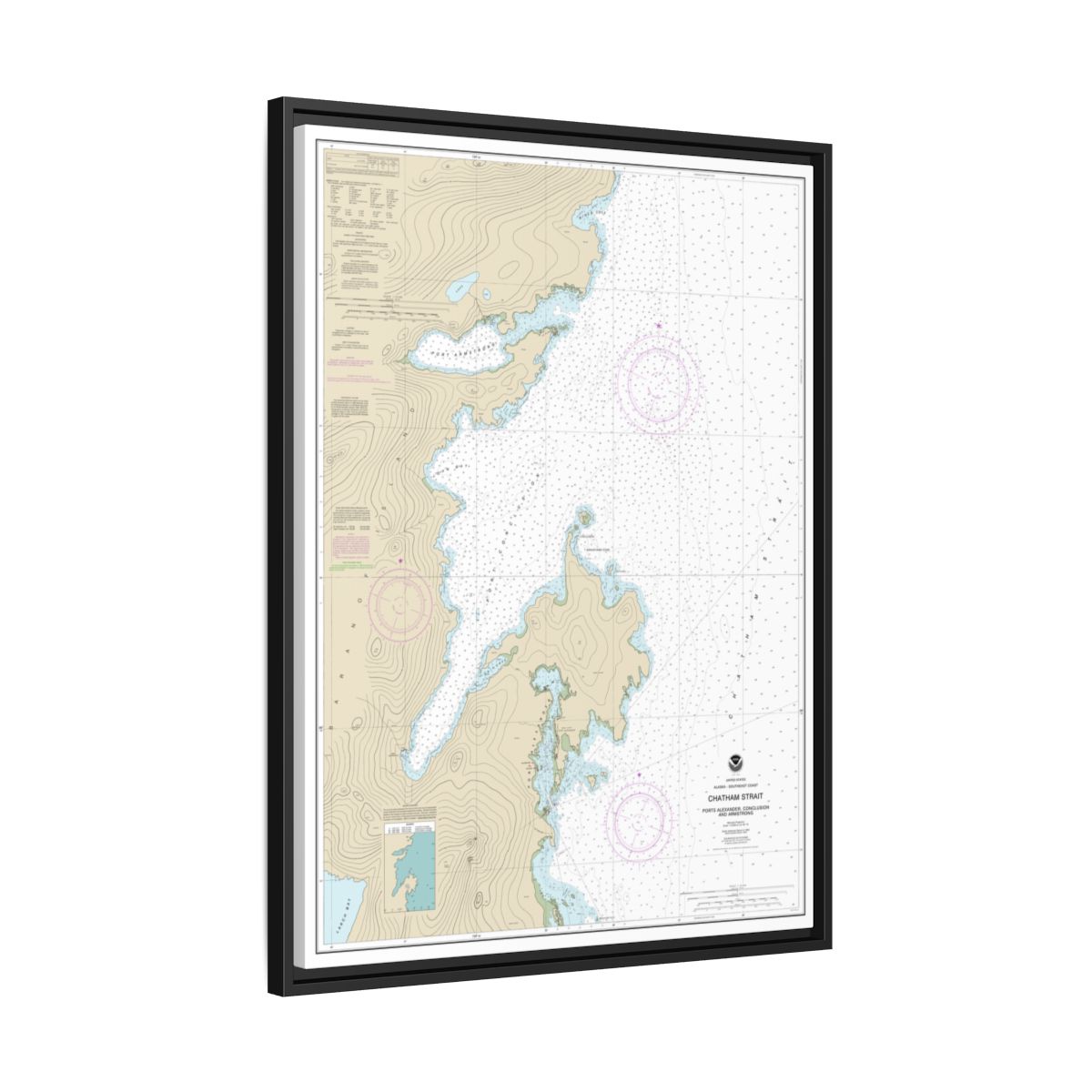 Chart 17331 Chatham Strait Ports Alexander, Conclusion, and Armstrong - NOAA Nautical Chart Floating Frame Canvas | 24" x 32" | 30" x 40" - Black side