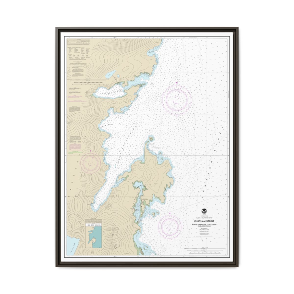 Chart 17331 Chatham Strait Ports Alexander, Conclusion, and Armstrong - NOAA Nautical Chart Floating Frame Canvas | 24" x 32" | 30" x 40" - Espresso front