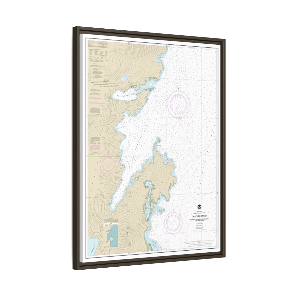 Chart 17331 Chatham Strait Ports Alexander, Conclusion, and Armstrong - NOAA Nautical Chart Floating Frame Canvas | 24" x 32" | 30" x 40" - Espresso side
