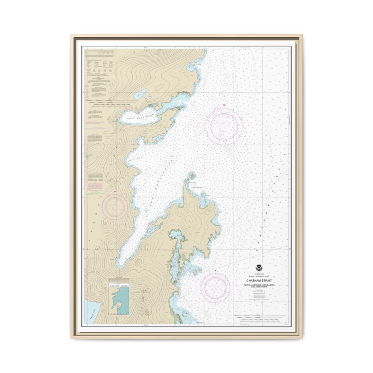 Chart 17331 Chatham Strait Ports Alexander, Conclusion, and Armstrong - NOAA Nautical Chart Floating Frame Canvas | 24" x 32" | 30" x 40" - Natural front