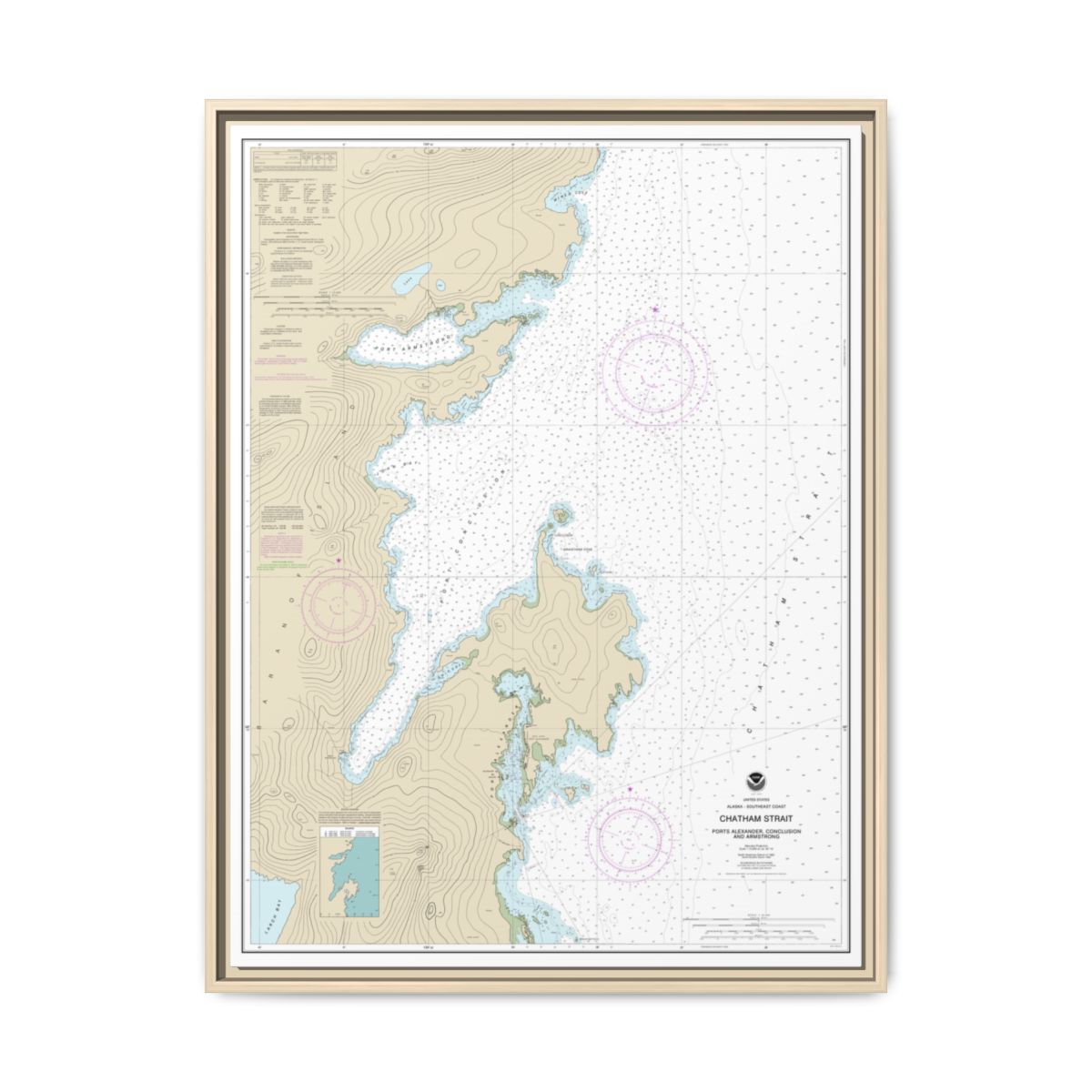 Chart 17331 Chatham Strait Ports Alexander, Conclusion, and Armstrong - NOAA Nautical Chart Floating Frame Canvas | 24" x 32" | 30" x 40" - Natural front