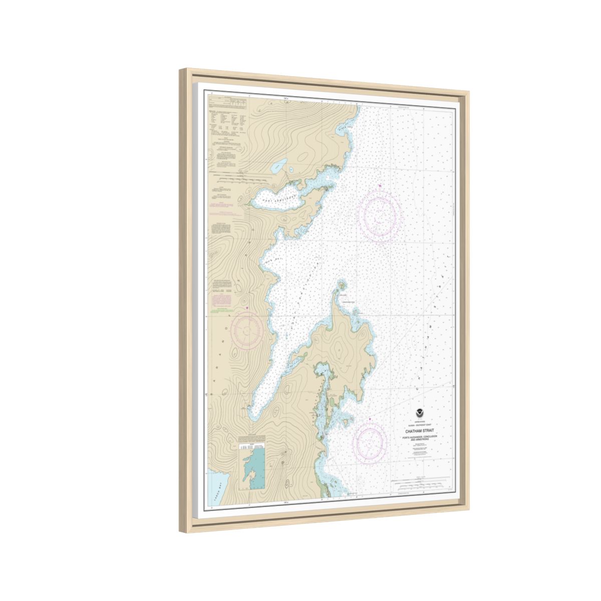 Chart 17331 Chatham Strait Ports Alexander, Conclusion, and Armstrong - NOAA Nautical Chart Floating Frame Canvas | 24" x 32" | 30" x 40" - Natural side