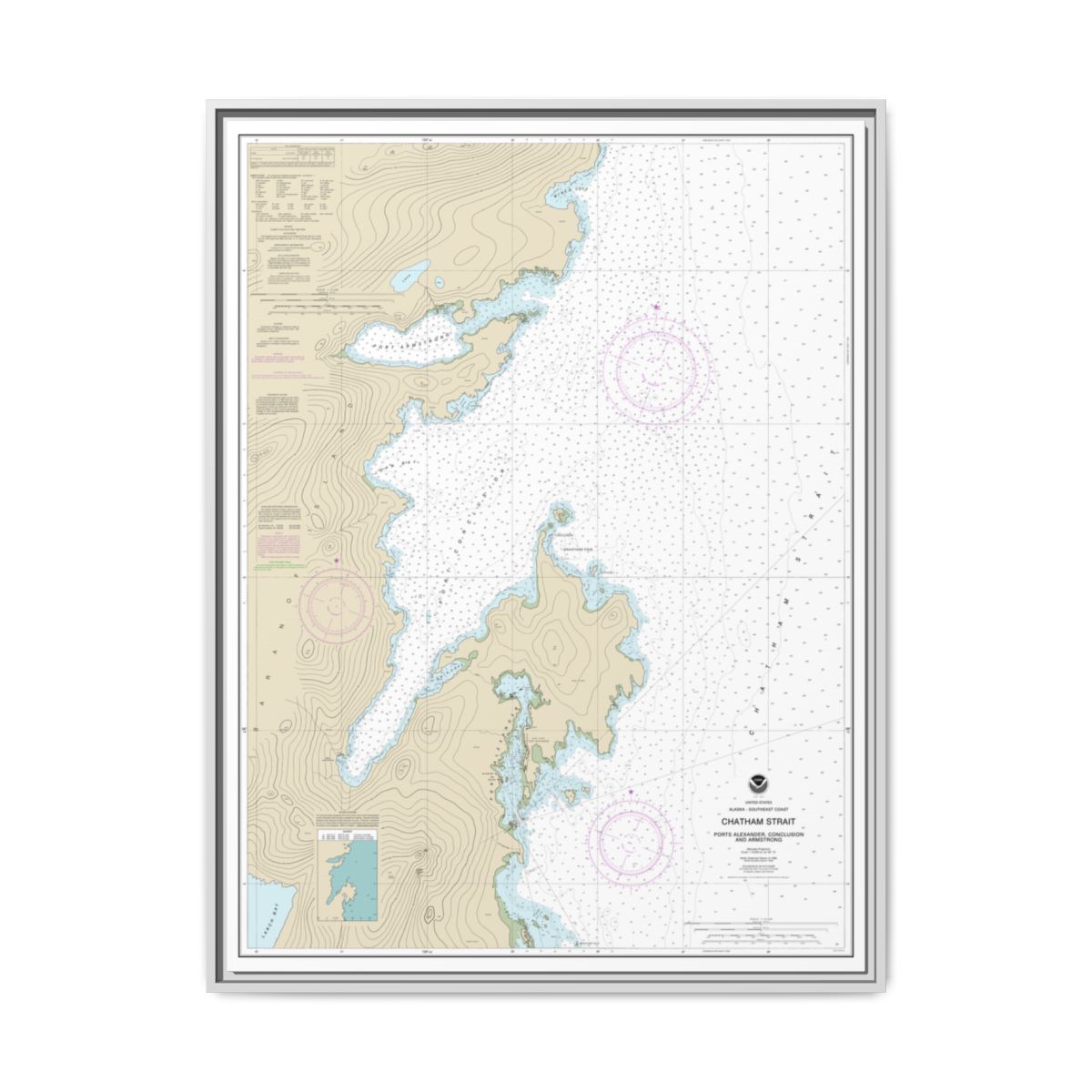 Chart 17331 Chatham Strait Ports Alexander, Conclusion, and Armstrong - NOAA Nautical Chart Floating Frame Canvas | 24" x 32" | 30" x 40" - White front