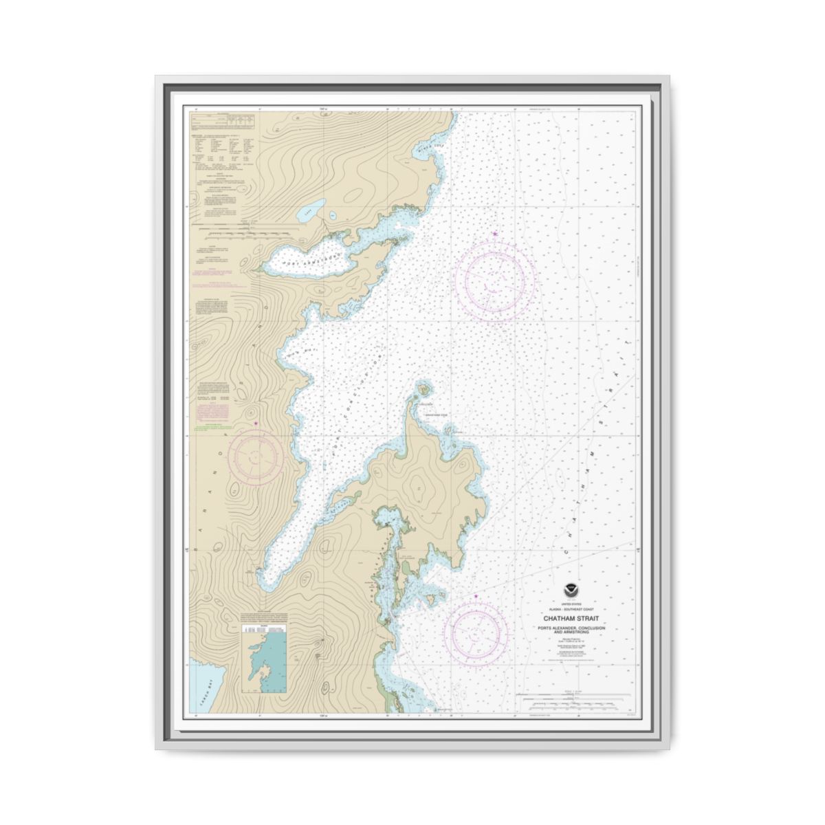 Chart 17331 Chatham Strait Ports Alexander, Conclusion, and Armstrong - NOAA Nautical Chart Floating Frame Canvas | 24" x 32" | 30" x 40" - White front