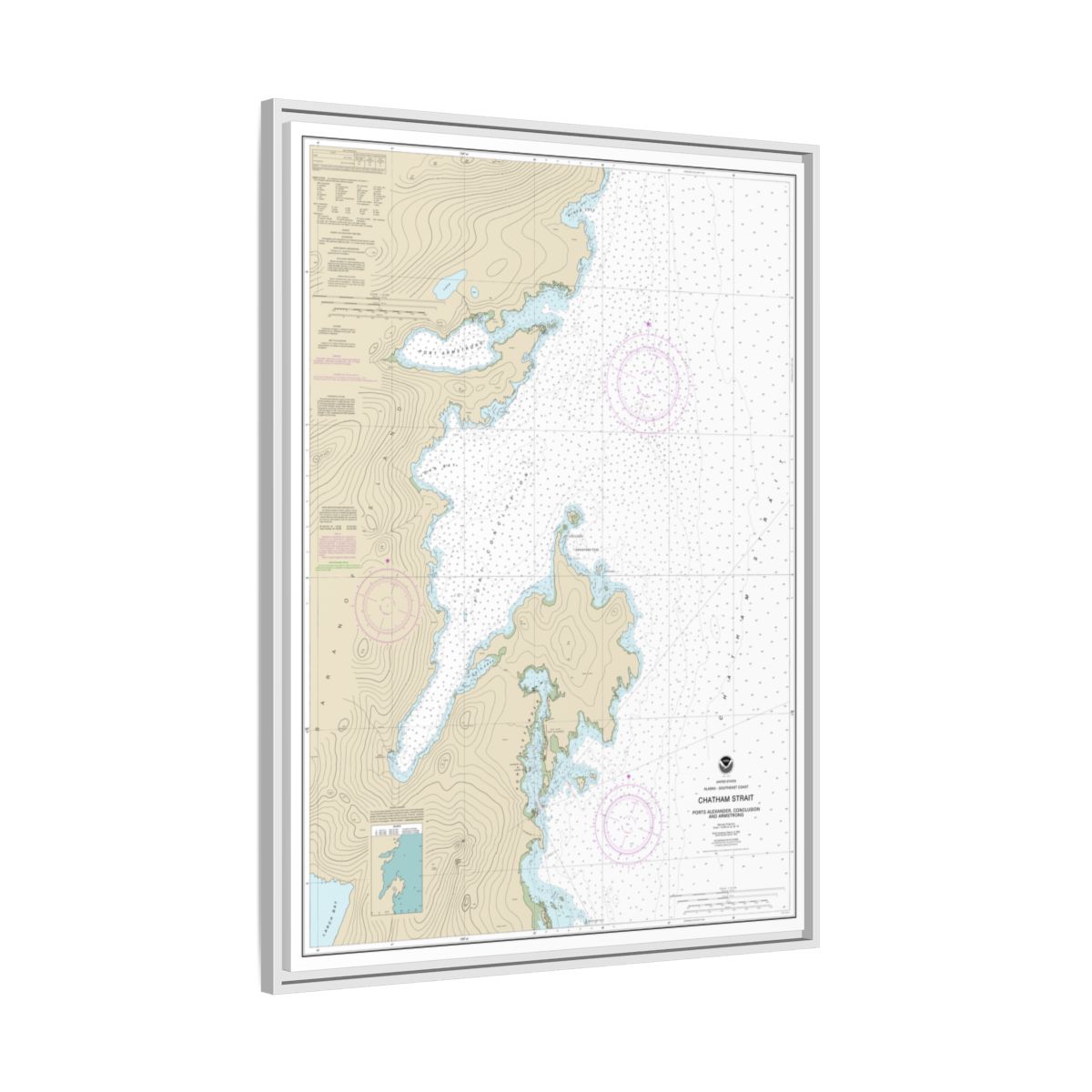 Chart 17331 Chatham Strait Ports Alexander, Conclusion, and Armstrong - NOAA Nautical Chart Floating Frame Canvas | 24" x 32" | 30" x 40" - White side