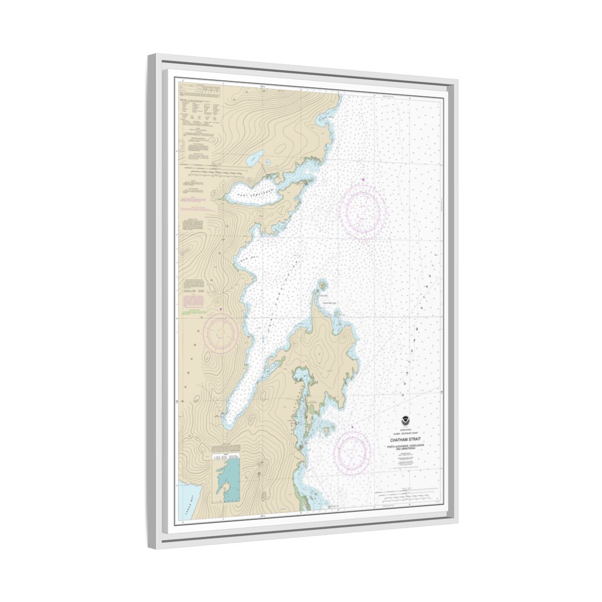 Chart 17331 Chatham Strait Ports Alexander, Conclusion, and Armstrong - NOAA Nautical Chart Floating Frame Canvas | 24" x 32" | 30" x 40" - White side