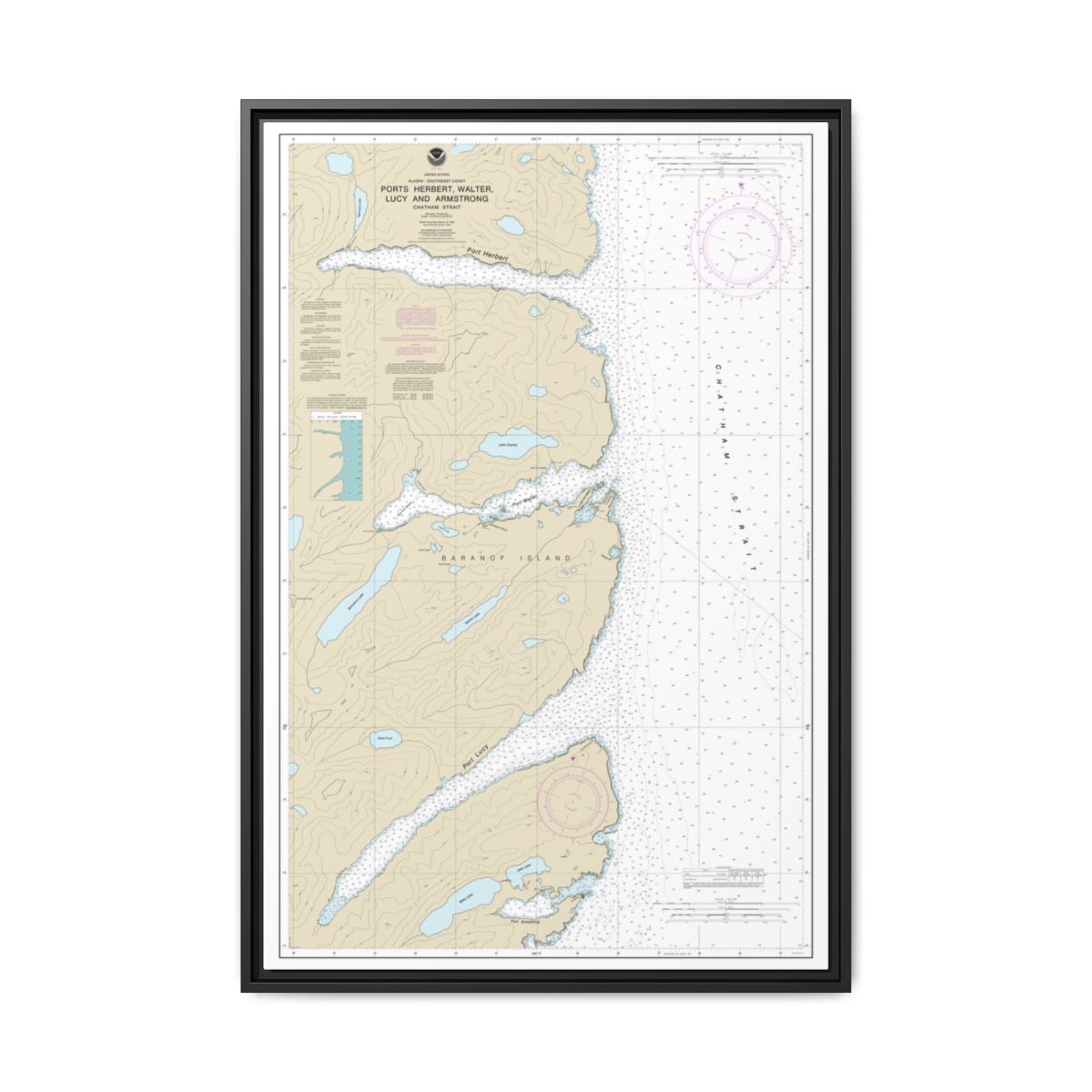 Chart 17333 Ports Herbert, Walter, Lucy and Armstrong - NOAA Nautical Chart Floating Frame Canvas | 20" x 30" | 24" x 36" | 32" x 48" - Black front