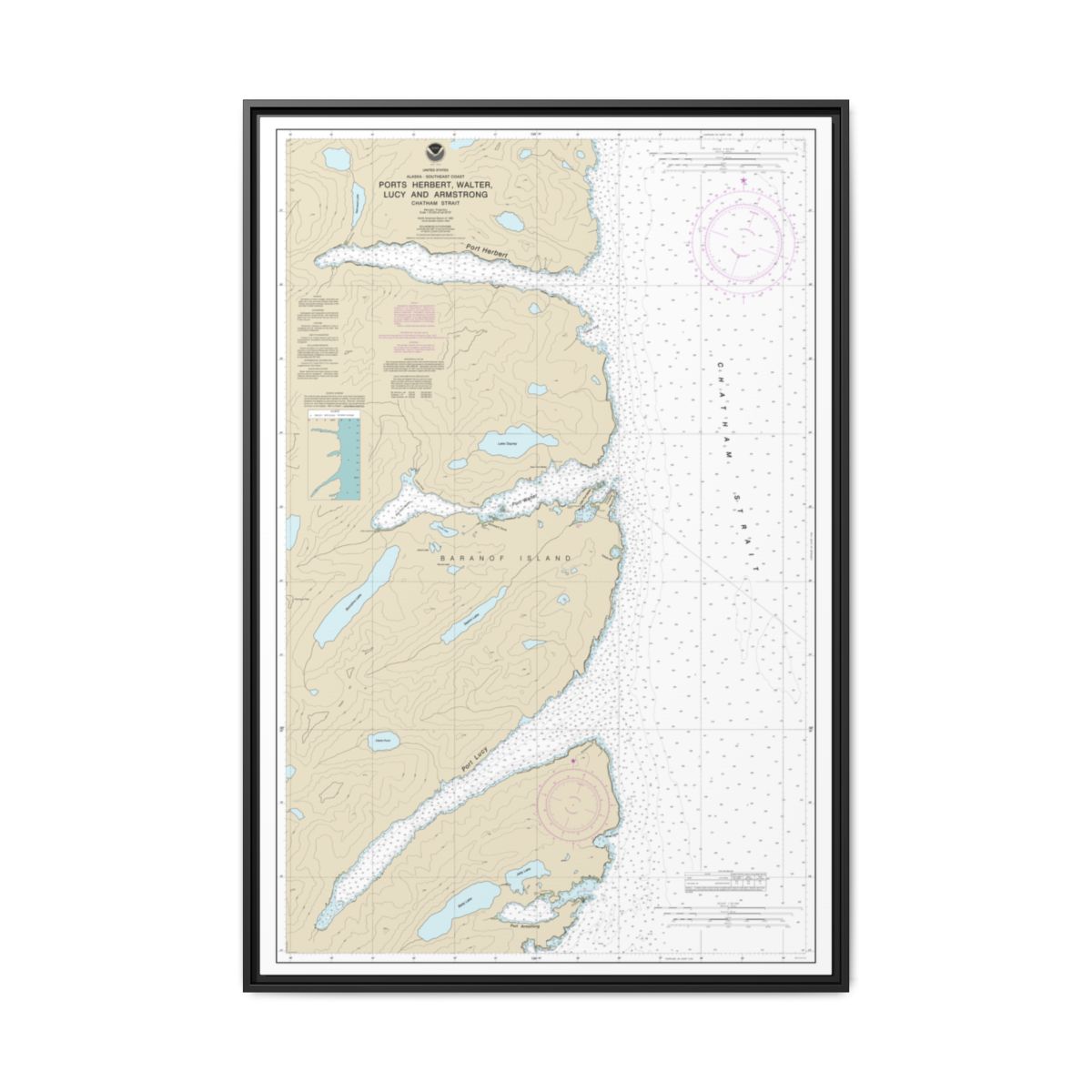 Chart 17333 Ports Herbert, Walter, Lucy and Armstrong - NOAA Nautical Chart Floating Frame Canvas | 20" x 30" | 24" x 36" | 32" x 48" - Black front