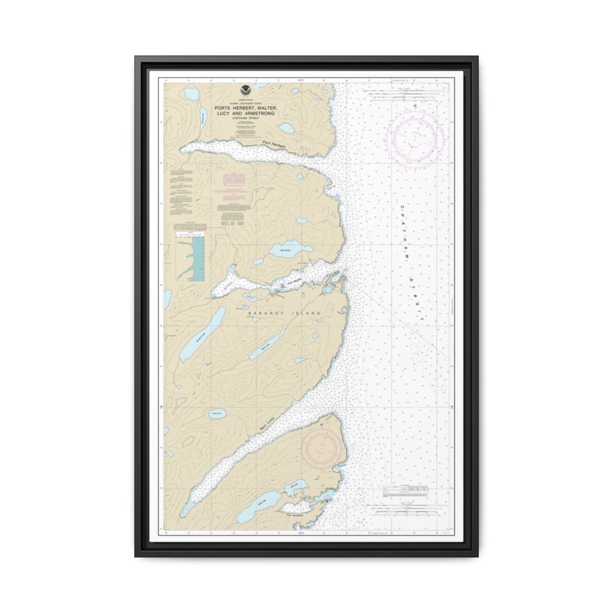 Chart 17333 Ports Herbert, Walter, Lucy and Armstrong - NOAA Nautical Chart Floating Frame Canvas | 20" x 30" | 24" x 36" | 32" x 48" - Black front