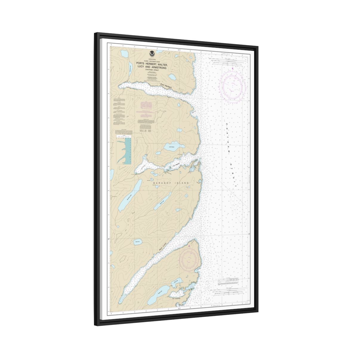 Chart 17333 Ports Herbert, Walter, Lucy and Armstrong - NOAA Nautical Chart Floating Frame Canvas | 20" x 30" | 24" x 36" | 32" x 48" - Black side