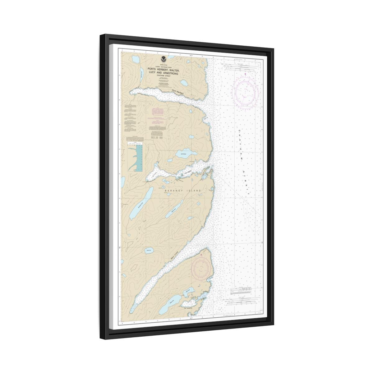 Chart 17333 Ports Herbert, Walter, Lucy and Armstrong - NOAA Nautical Chart Floating Frame Canvas | 20" x 30" | 24" x 36" | 32" x 48" - Black side