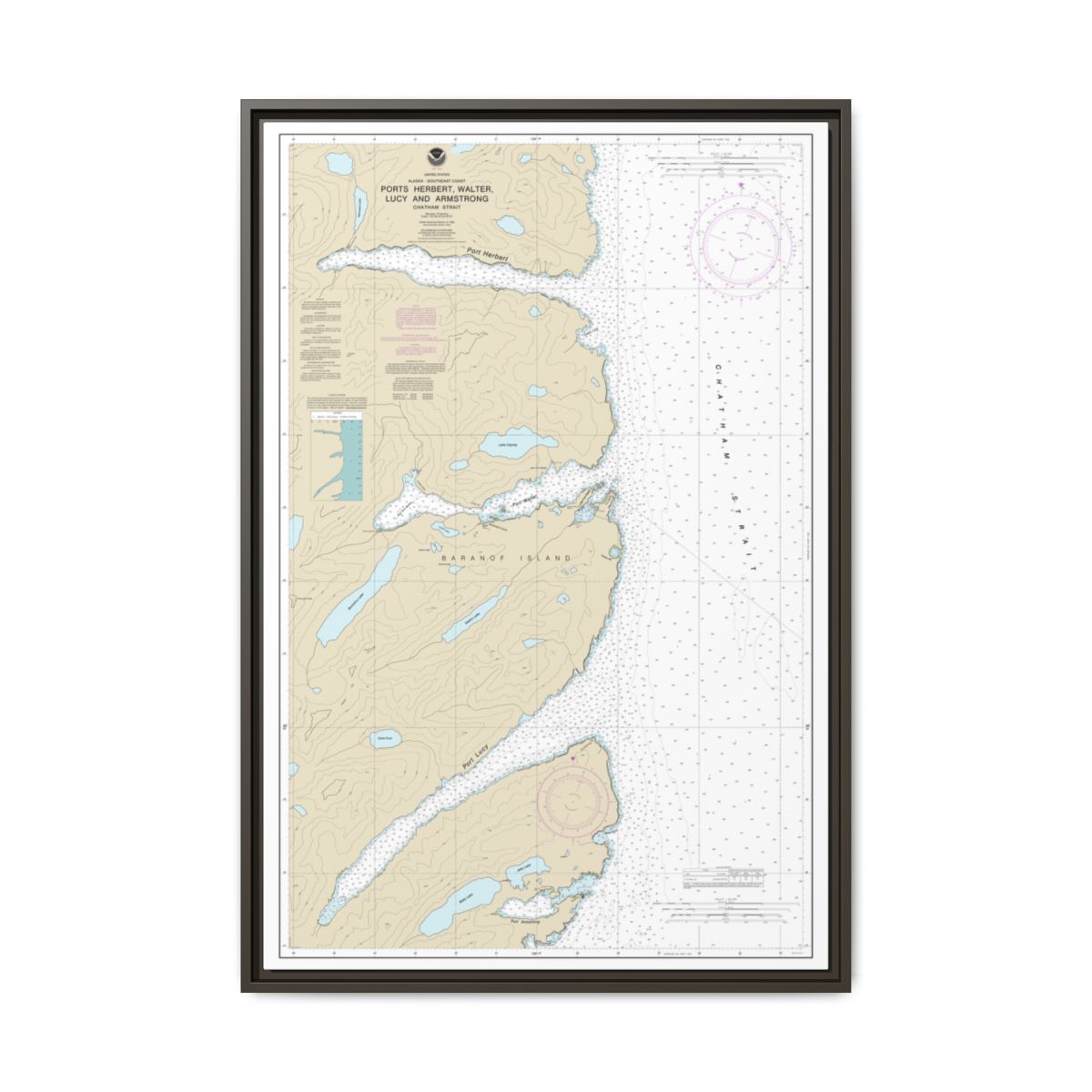 Chart 17333 Ports Herbert, Walter, Lucy and Armstrong - NOAA Nautical Chart Floating Frame Canvas | 20" x 30" | 24" x 36" | 32" x 48" - Espresso front