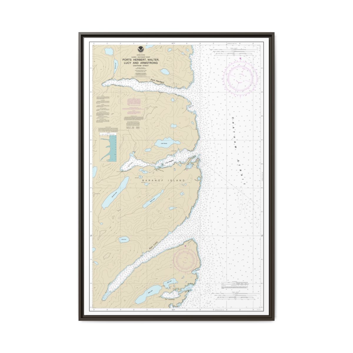Chart 17333 Ports Herbert, Walter, Lucy and Armstrong - NOAA Nautical Chart Floating Frame Canvas | 20" x 30" | 24" x 36" | 32" x 48" - Espresso front