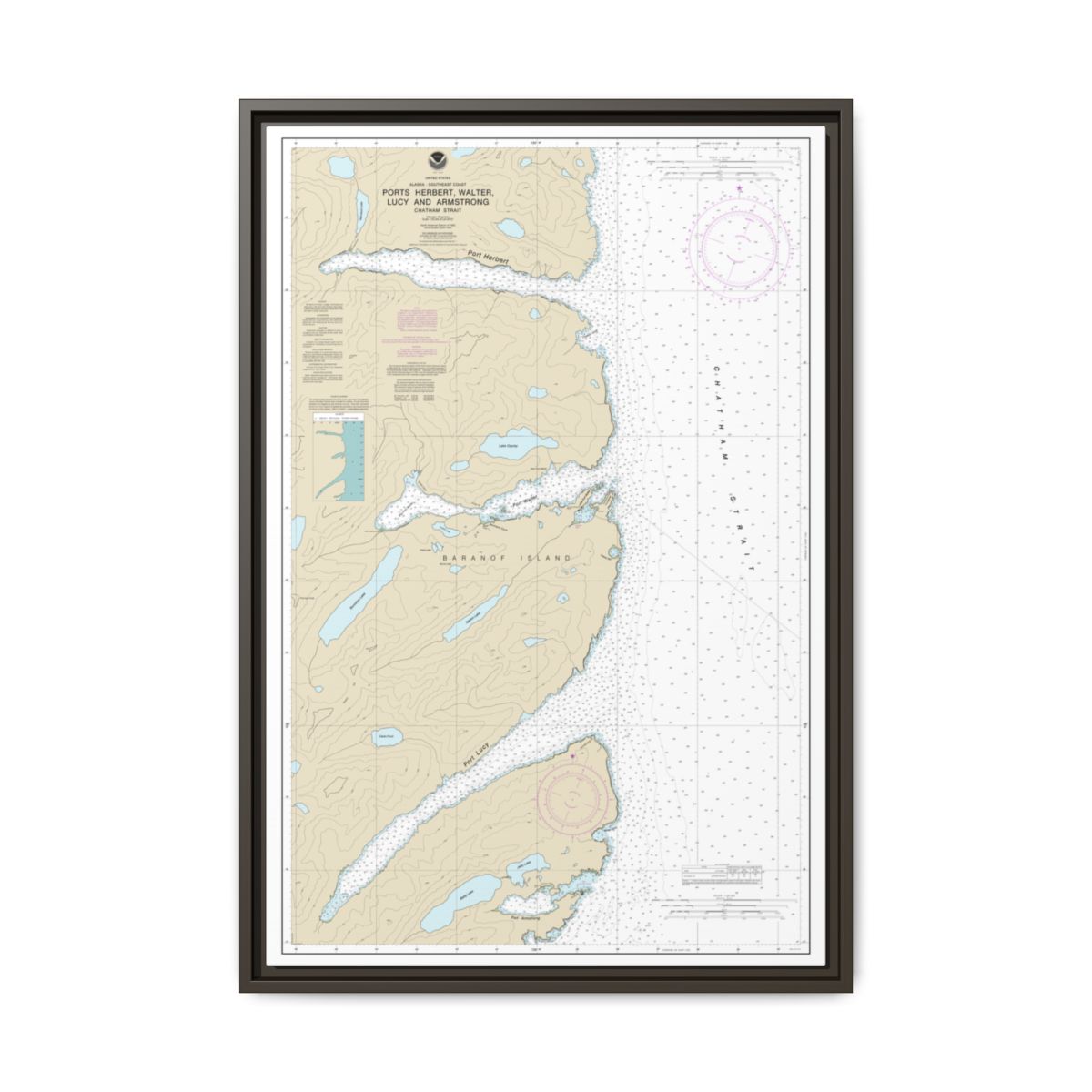 Chart 17333 Ports Herbert, Walter, Lucy and Armstrong - NOAA Nautical Chart Floating Frame Canvas | 20" x 30" | 24" x 36" | 32" x 48" - Espresso front