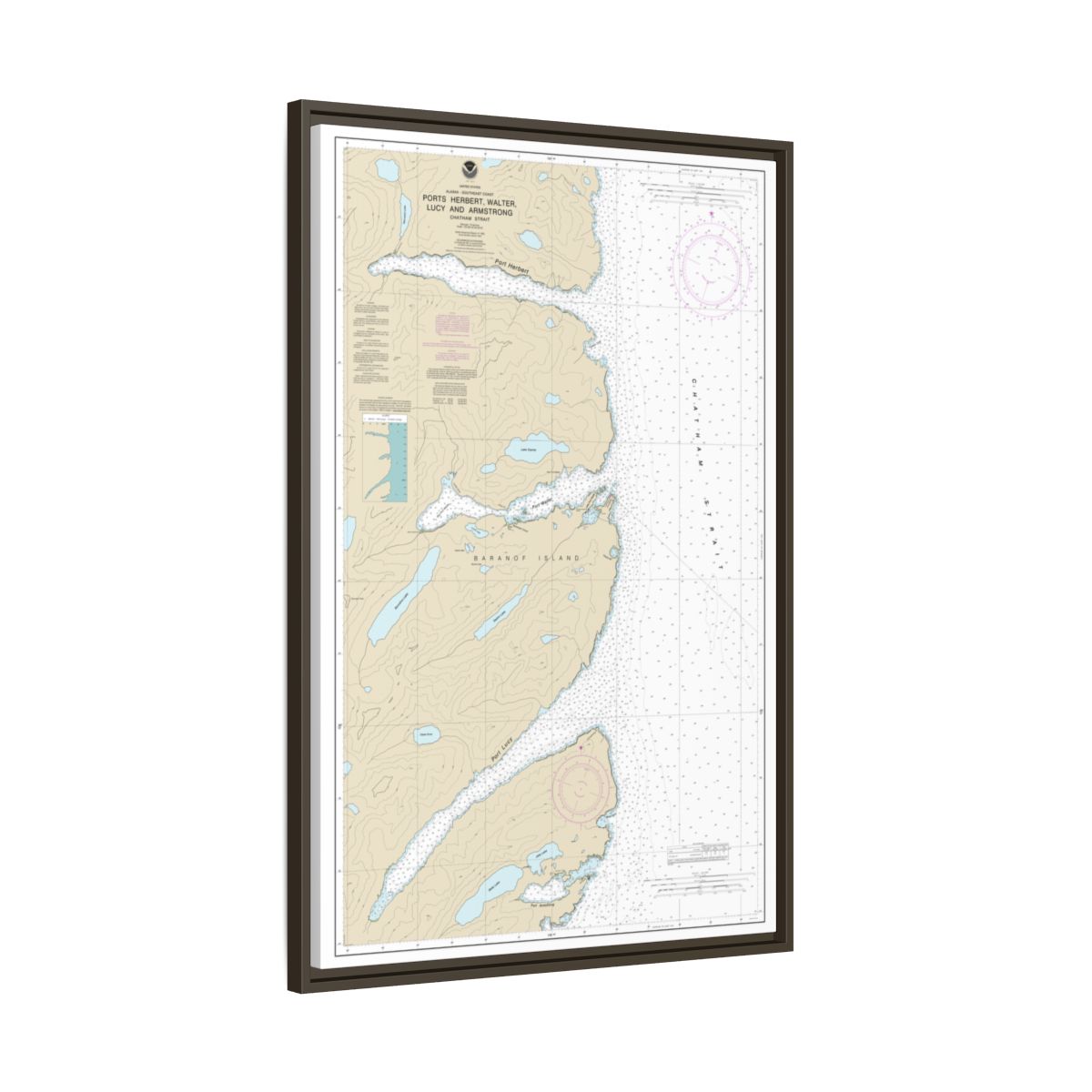 Chart 17333 Ports Herbert, Walter, Lucy and Armstrong - NOAA Nautical Chart Floating Frame Canvas | 20" x 30" | 24" x 36" | 32" x 48" - Espresso side