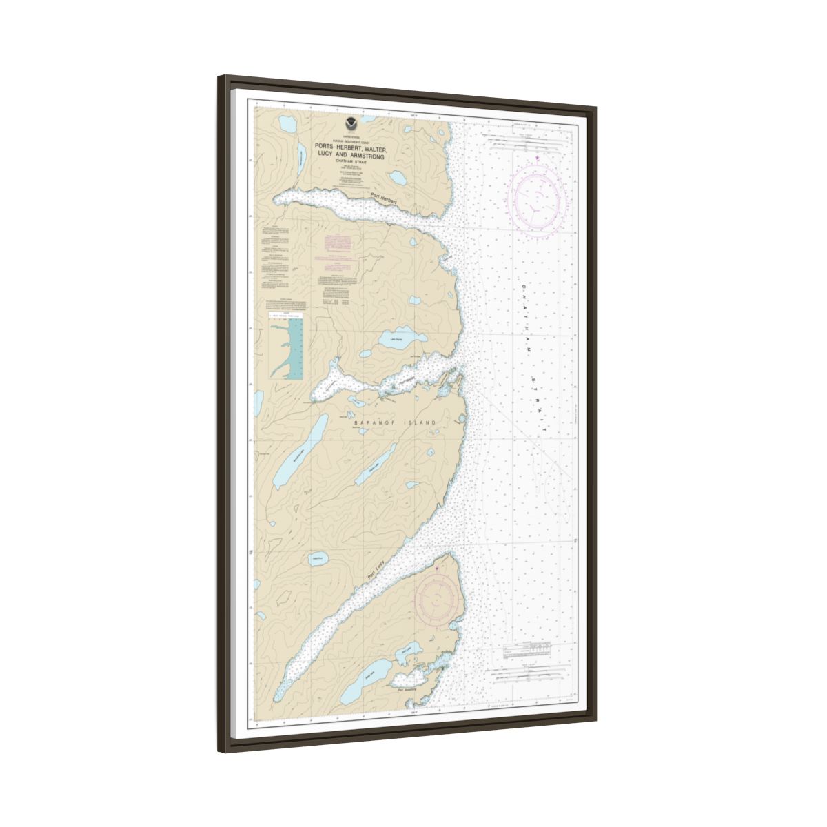 Chart 17333 Ports Herbert, Walter, Lucy and Armstrong - NOAA Nautical Chart Floating Frame Canvas | 20" x 30" | 24" x 36" | 32" x 48" - Espresso side