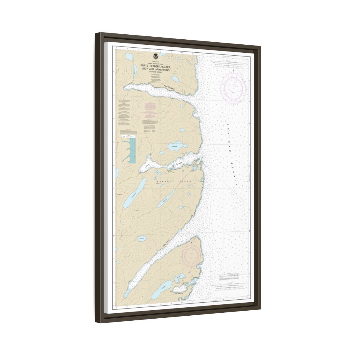 Chart 17333 Ports Herbert, Walter, Lucy and Armstrong - NOAA Nautical Chart Floating Frame Canvas | 20" x 30" | 24" x 36" | 32" x 48" - Espresso side