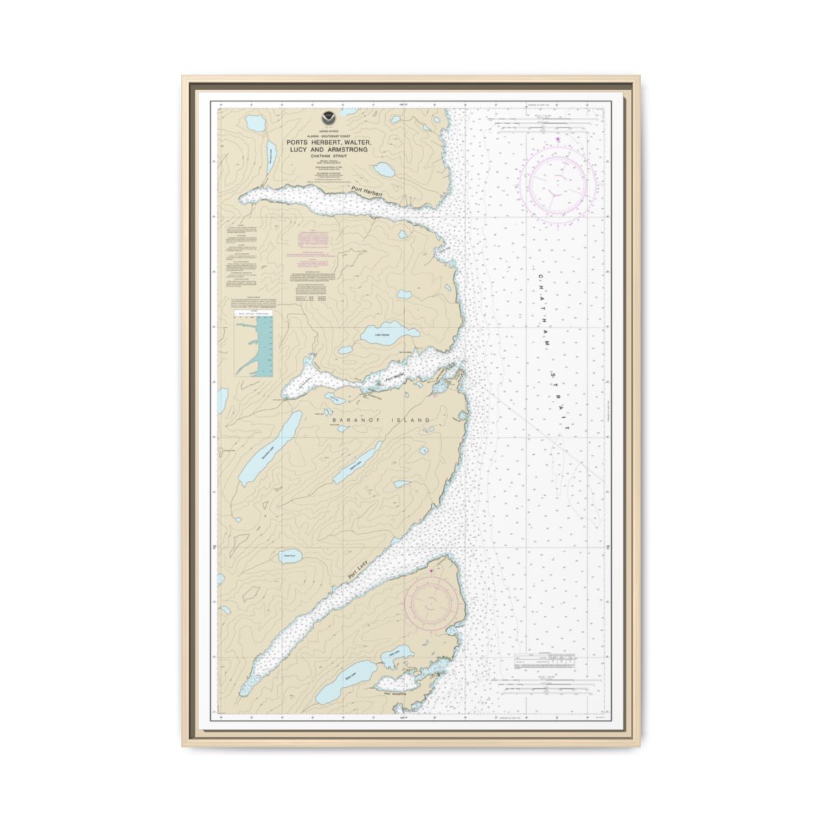 Chart 17333 Ports Herbert, Walter, Lucy and Armstrong - NOAA Nautical Chart Floating Frame Canvas | 20" x 30" | 24" x 36" | 32" x 48" - Natural front