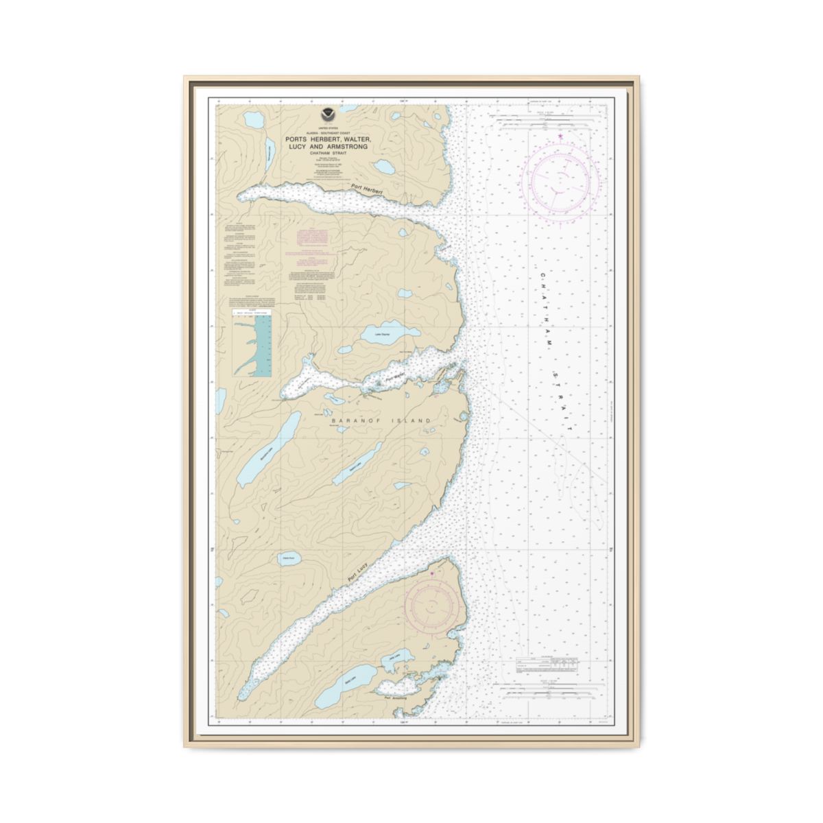 Chart 17333 Ports Herbert, Walter, Lucy and Armstrong - NOAA Nautical Chart Floating Frame Canvas | 20" x 30" | 24" x 36" | 32" x 48" - Natural front