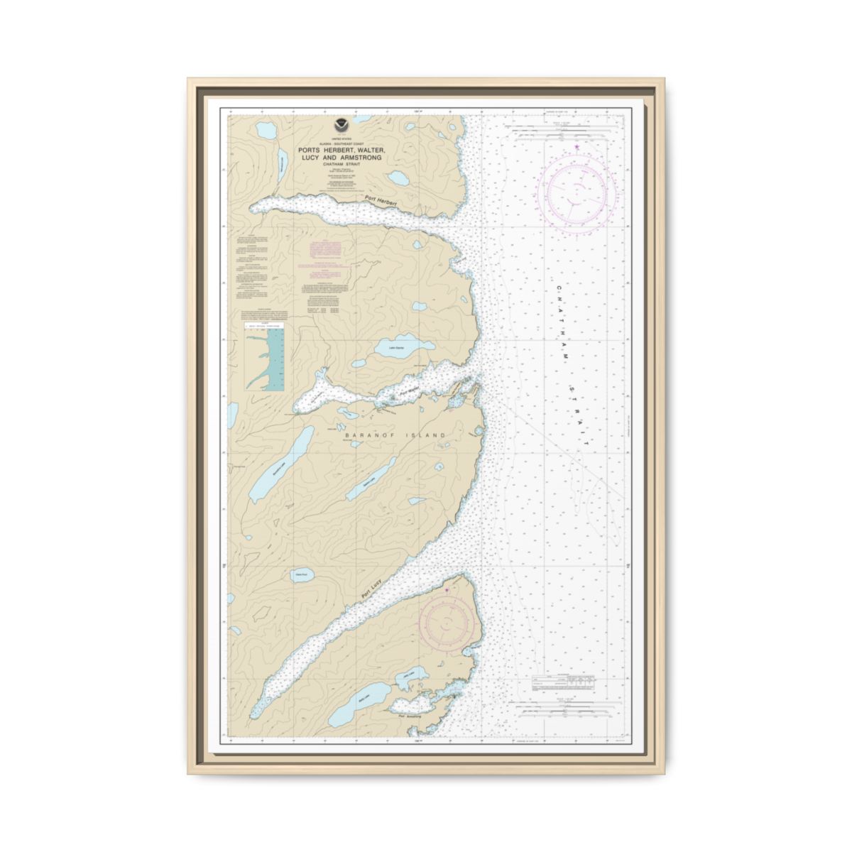 Chart 17333 Ports Herbert, Walter, Lucy and Armstrong - NOAA Nautical Chart Floating Frame Canvas | 20" x 30" | 24" x 36" | 32" x 48" - Natural front