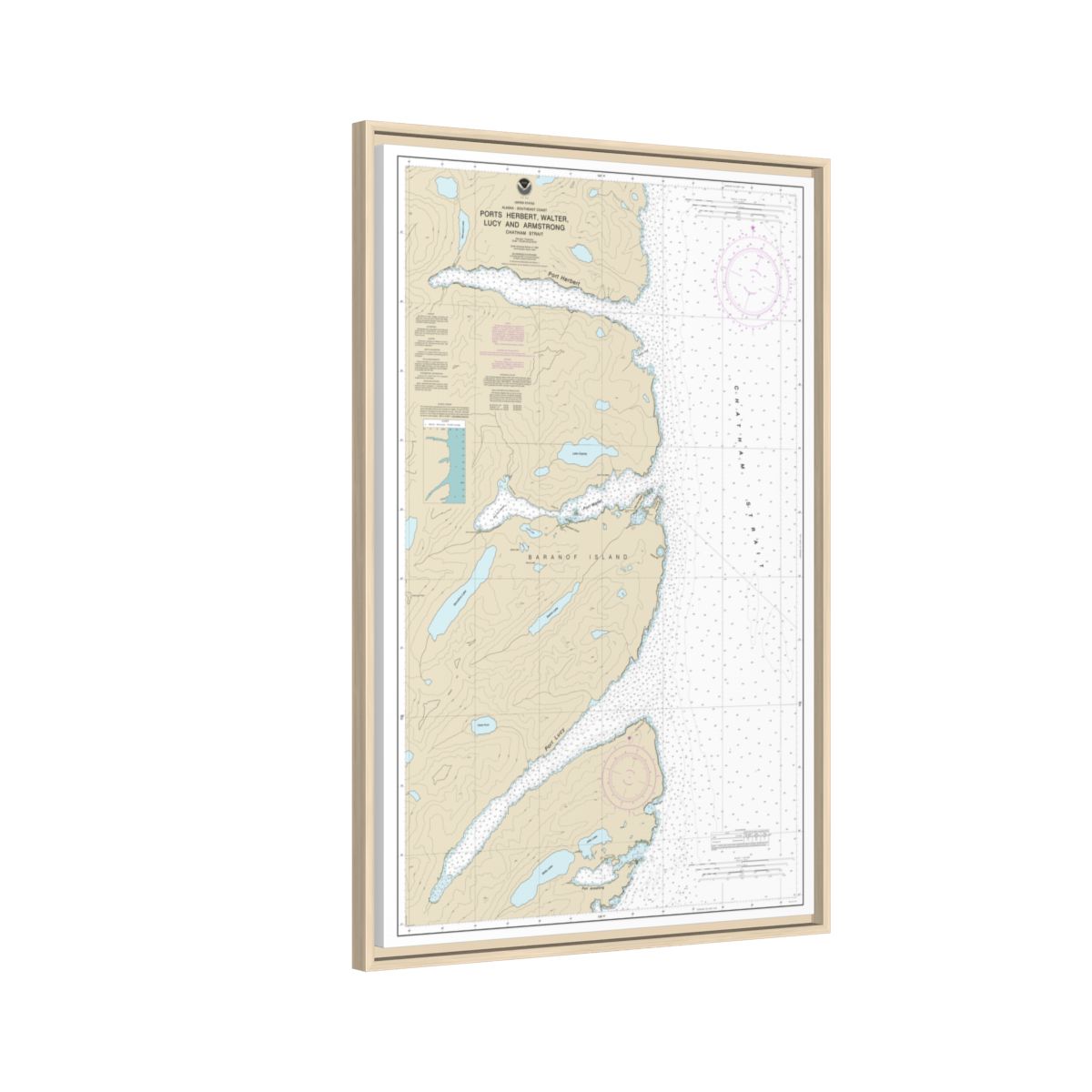 Chart 17333 Ports Herbert, Walter, Lucy and Armstrong - NOAA Nautical Chart Floating Frame Canvas | 20" x 30" | 24" x 36" | 32" x 48" - Natural side
