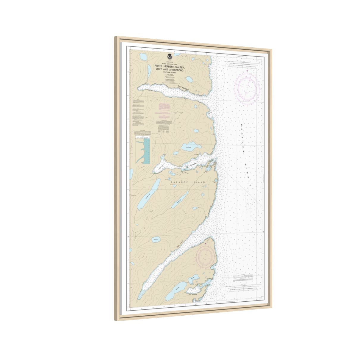 Chart 17333 Ports Herbert, Walter, Lucy and Armstrong - NOAA Nautical Chart Floating Frame Canvas | 20" x 30" | 24" x 36" | 32" x 48" - Natural side