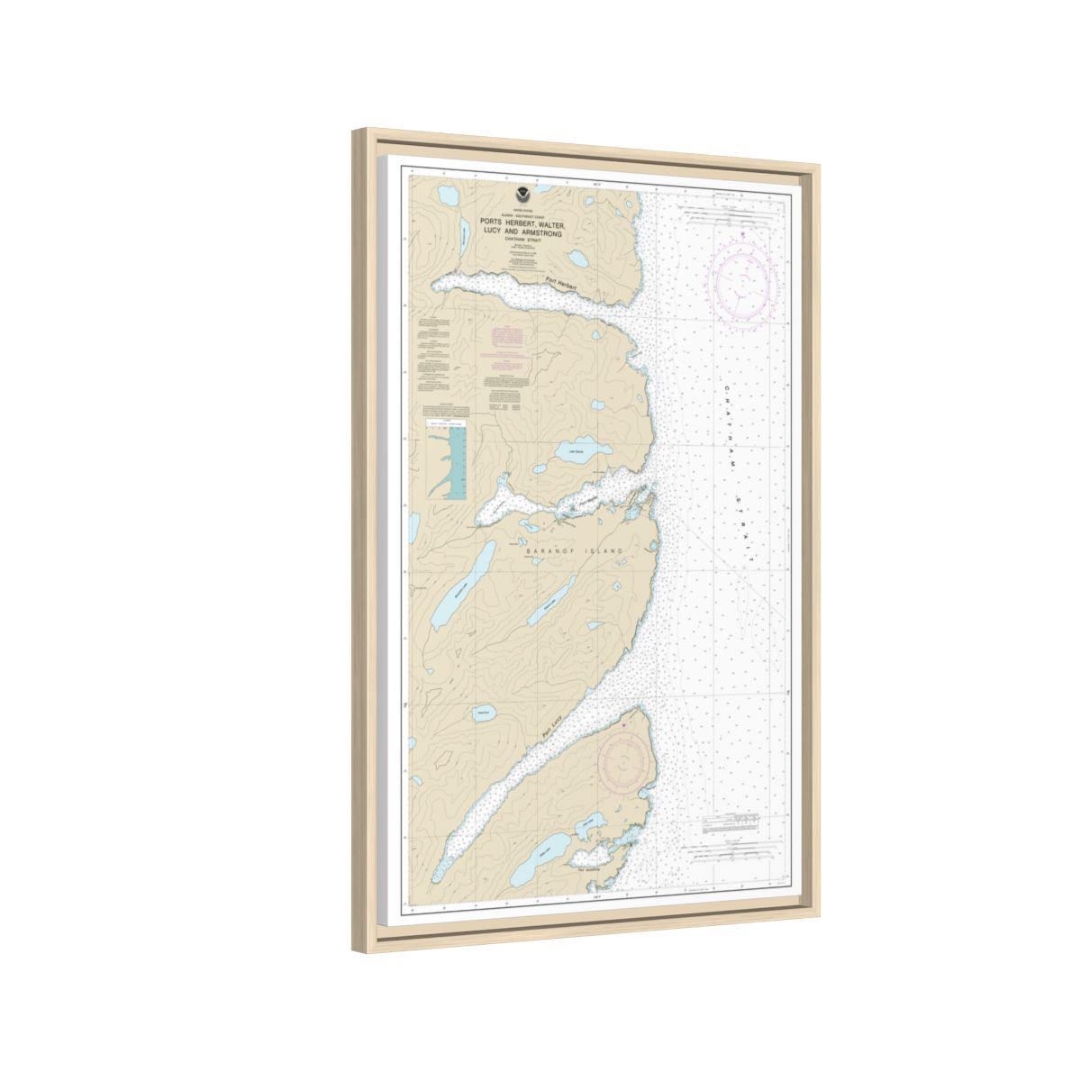 Chart 17333 Ports Herbert, Walter, Lucy and Armstrong - NOAA Nautical Chart Floating Frame Canvas | 20" x 30" | 24" x 36" | 32" x 48" - Natural side