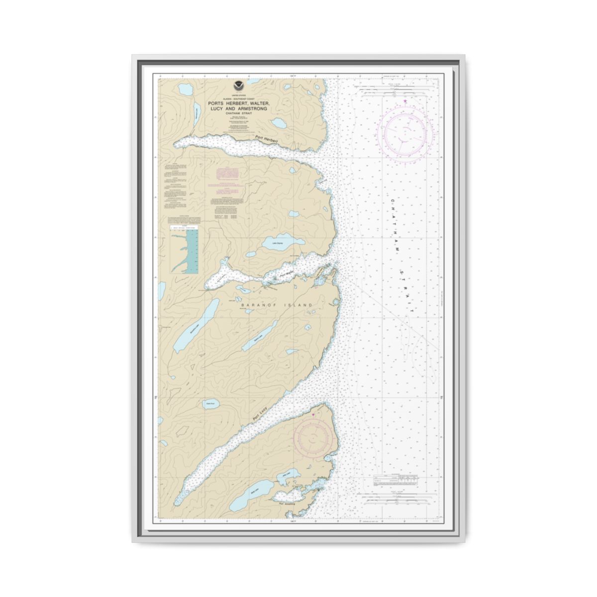 Chart 17333 Ports Herbert, Walter, Lucy and Armstrong - NOAA Nautical Chart Floating Frame Canvas | 20" x 30" | 24" x 36" | 32" x 48" - White front