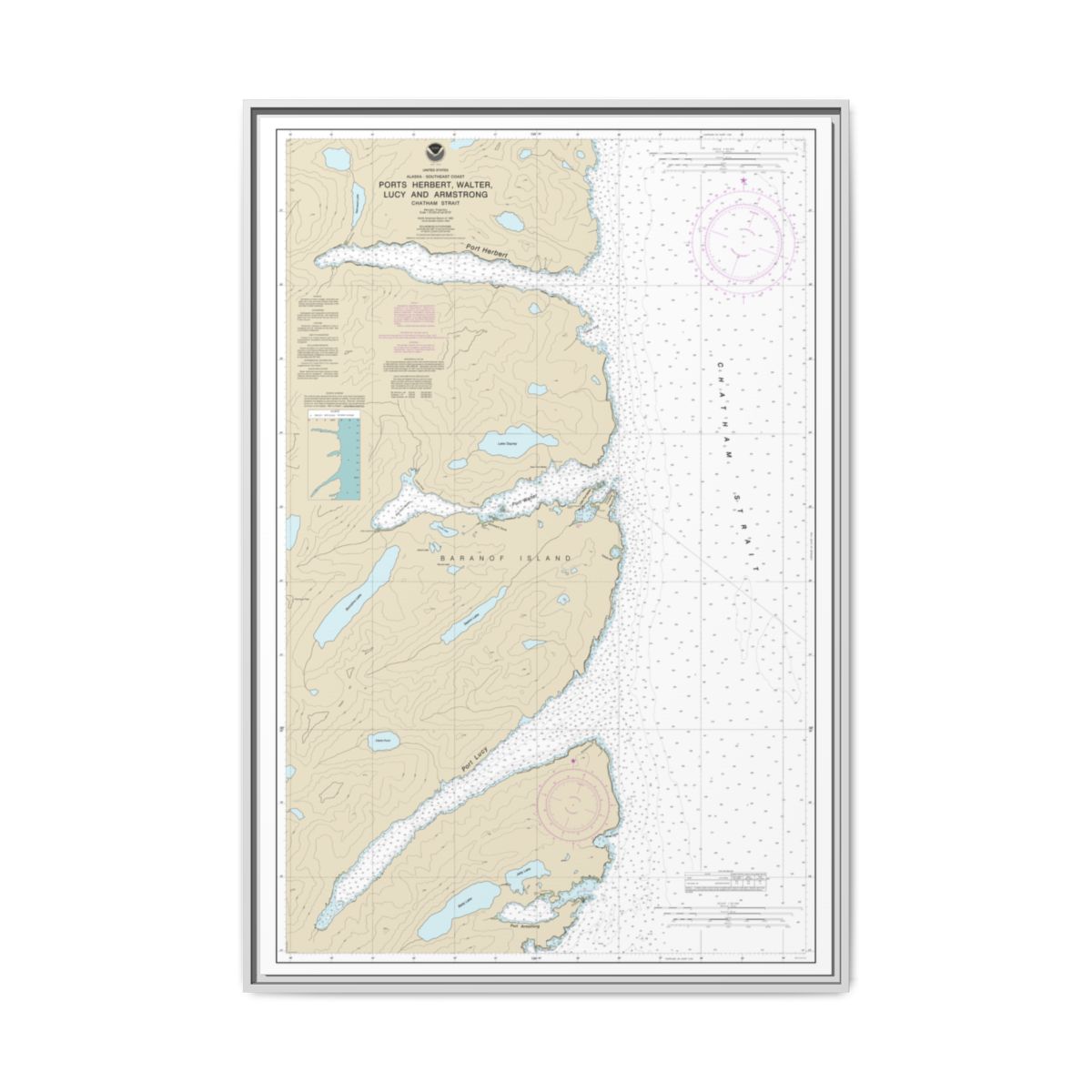 Chart 17333 Ports Herbert, Walter, Lucy and Armstrong - NOAA Nautical Chart Floating Frame Canvas | 20" x 30" | 24" x 36" | 32" x 48" - White front