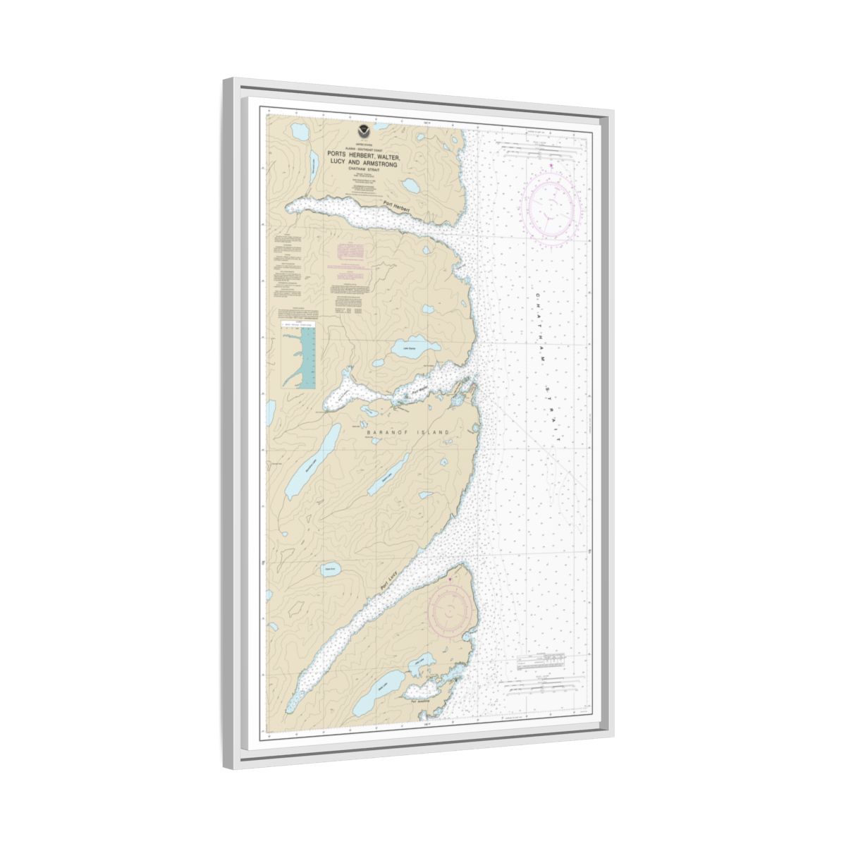 Chart 17333 Ports Herbert, Walter, Lucy and Armstrong - NOAA Nautical Chart Floating Frame Canvas | 20" x 30" | 24" x 36" | 32" x 48" - White side