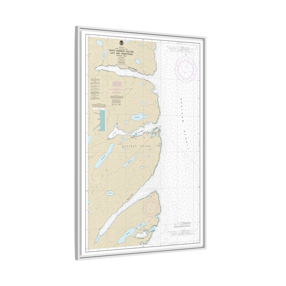 Chart 17333 Ports Herbert, Walter, Lucy and Armstrong - NOAA Nautical Chart Floating Frame Canvas | 20" x 30" | 24" x 36" | 32" x 48" - White side