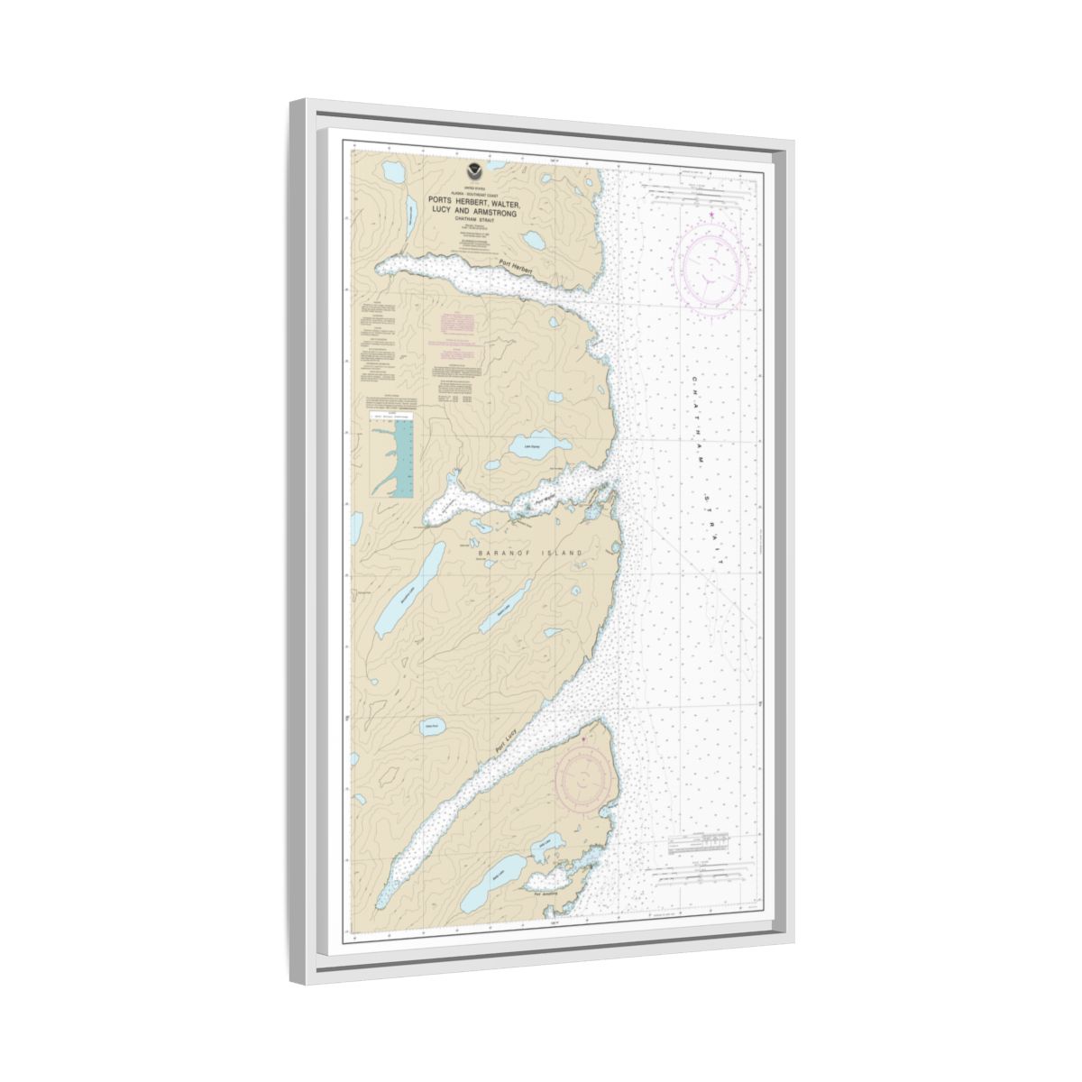 Chart 17333 Ports Herbert, Walter, Lucy and Armstrong - NOAA Nautical Chart Floating Frame Canvas | 20" x 30" | 24" x 36" | 32" x 48" - White side