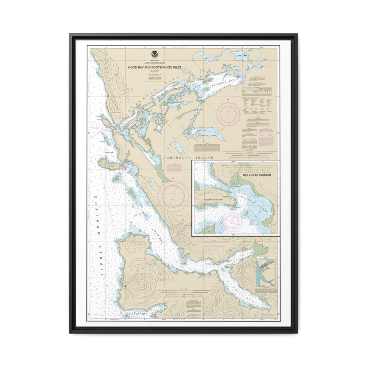 Chart 17339 Hood Bay and Kootznahoo Inlet - NOAA Nautical Chart Floating Frame Canvas | 24" x 32" | 30" x 40" - Black front