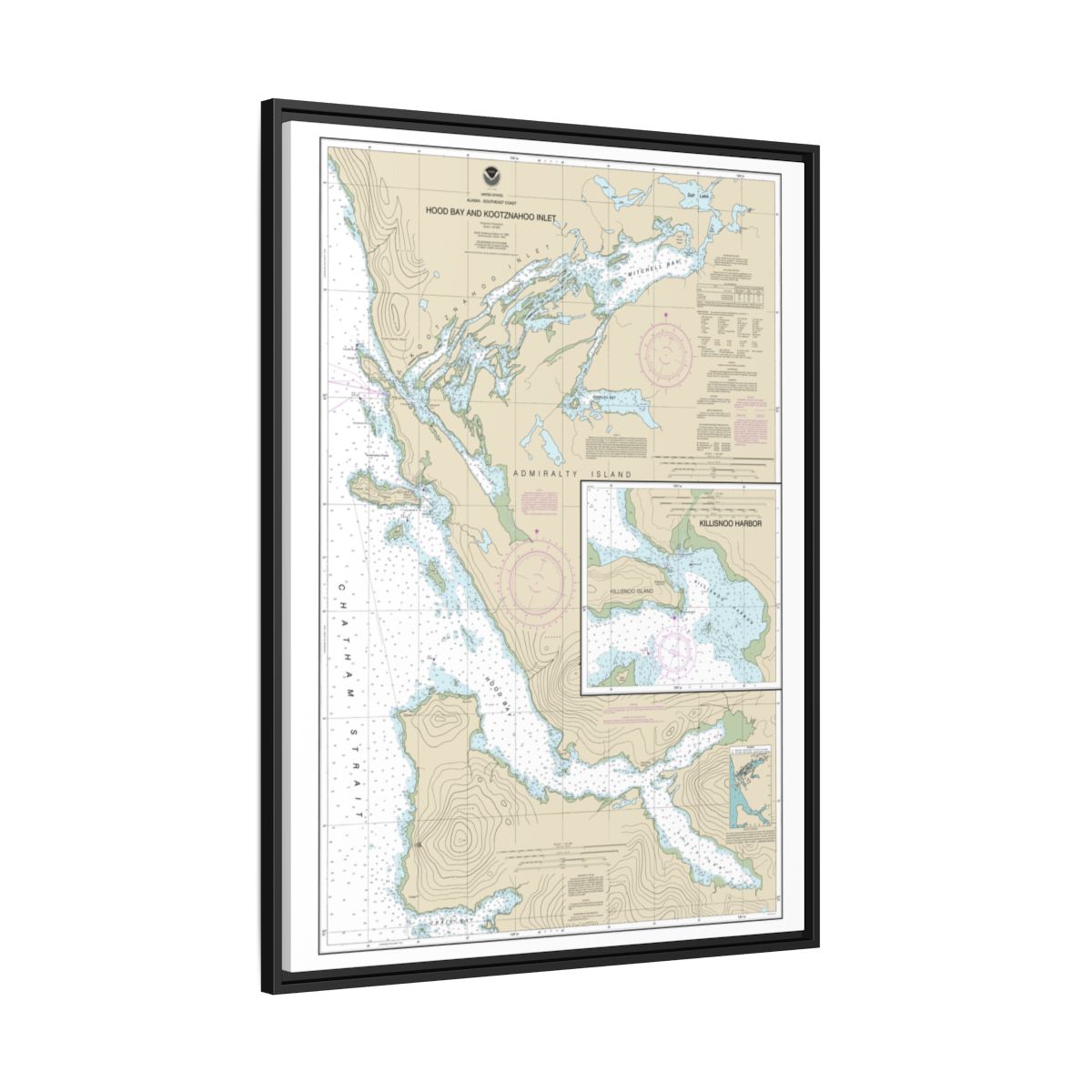 Chart 17339 Hood Bay and Kootznahoo Inlet - NOAA Nautical Chart Floating Frame Canvas | 24" x 32" | 30" x 40" - Black side