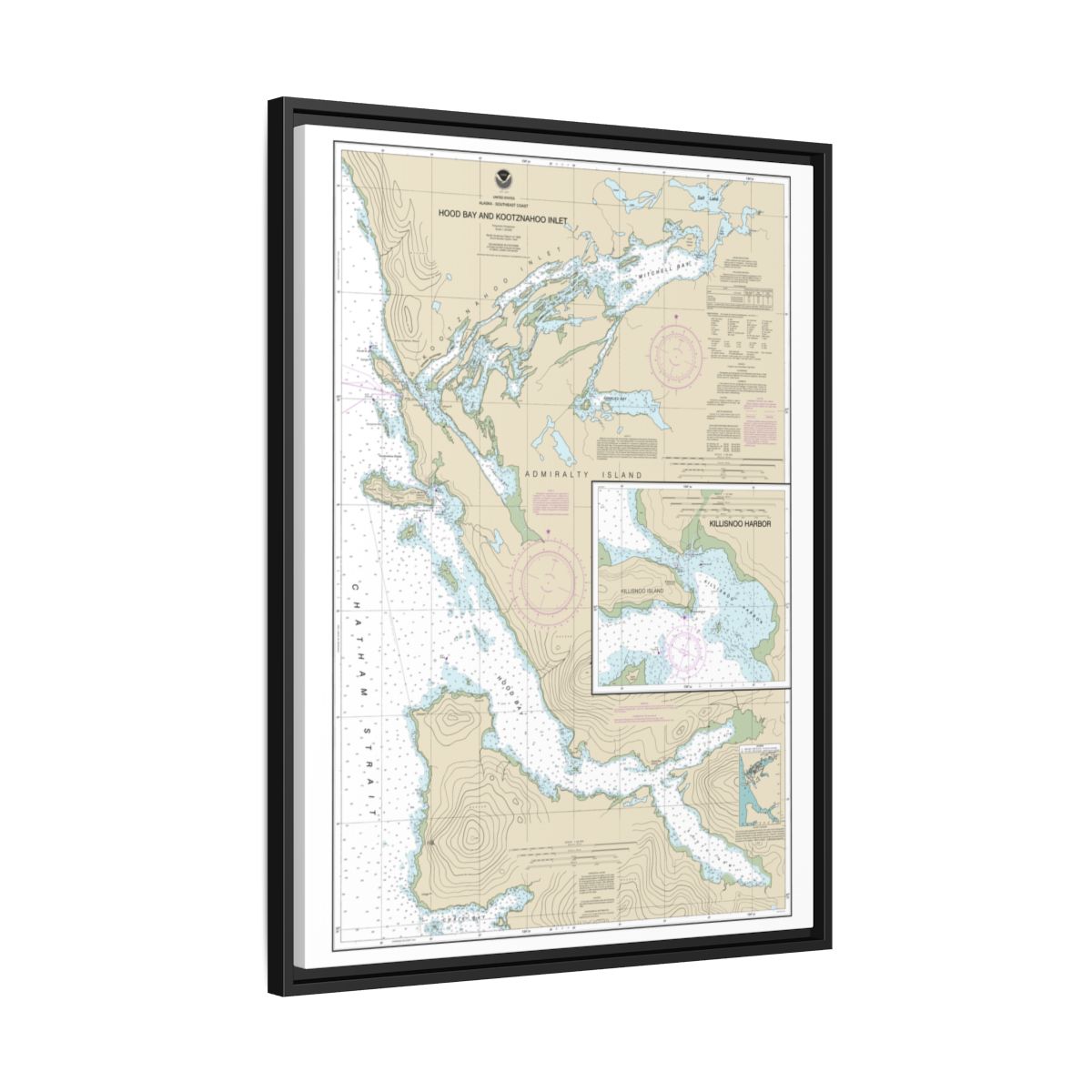 Chart 17339 Hood Bay and Kootznahoo Inlet - NOAA Nautical Chart Floating Frame Canvas | 24" x 32" | 30" x 40" - Black side