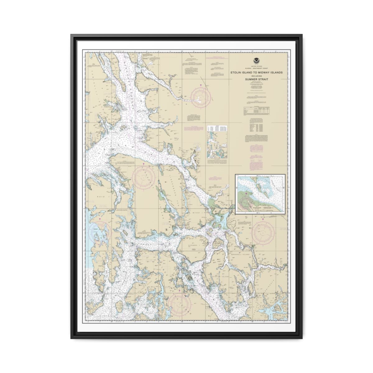 Chart 17360 Etolin Island to Midway Islands, including Sumner Strait;Holkham Bay;Big Castle Island - NOAA Nautical Chart Floating Frame Canvas | 24" x 32" | 30" x 40" - Black front