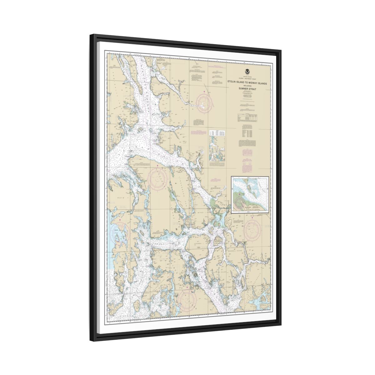 Chart 17360 Etolin Island to Midway Islands, including Sumner Strait;Holkham Bay;Big Castle Island - NOAA Nautical Chart Floating Frame Canvas | 24" x 32" | 30" x 40" - Black side