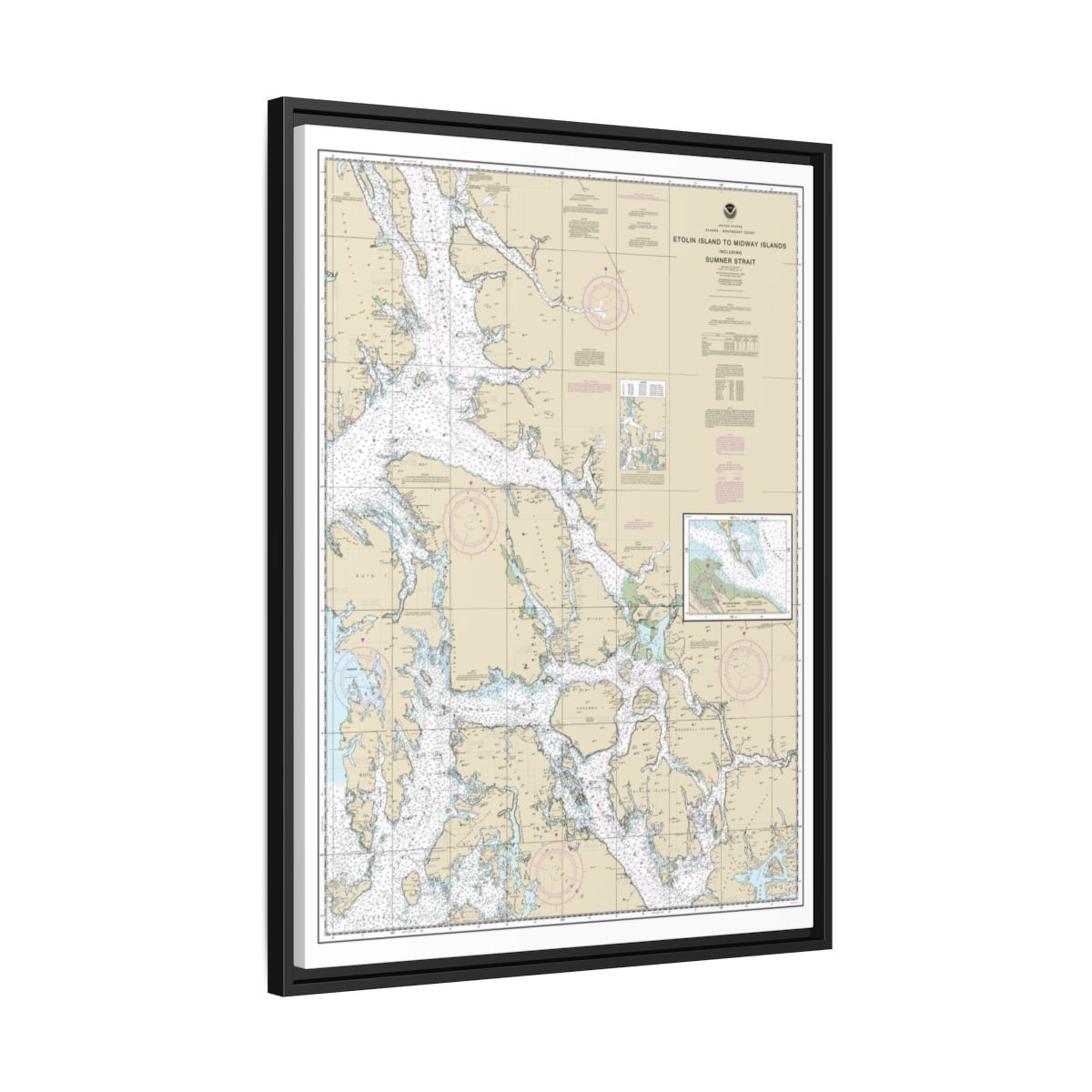 Chart 17360 Etolin Island to Midway Islands, including Sumner Strait;Holkham Bay;Big Castle Island - NOAA Nautical Chart Floating Frame Canvas | 24" x 32" | 30" x 40" - Black side