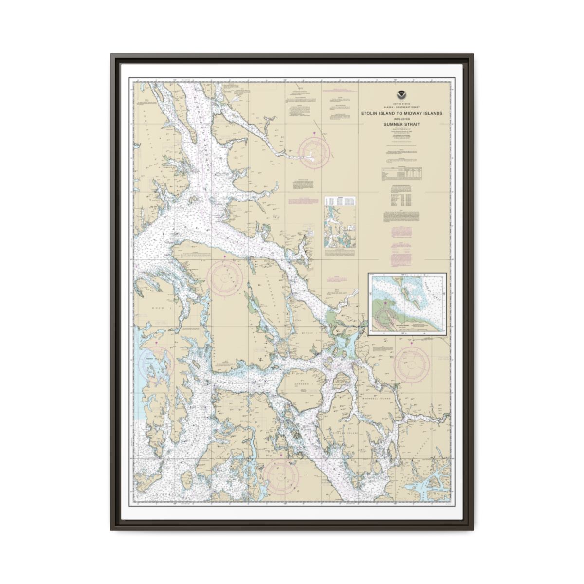 Chart 17360 Etolin Island to Midway Islands, including Sumner Strait;Holkham Bay;Big Castle Island - NOAA Nautical Chart Floating Frame Canvas | 24" x 32" | 30" x 40" - Espresso front