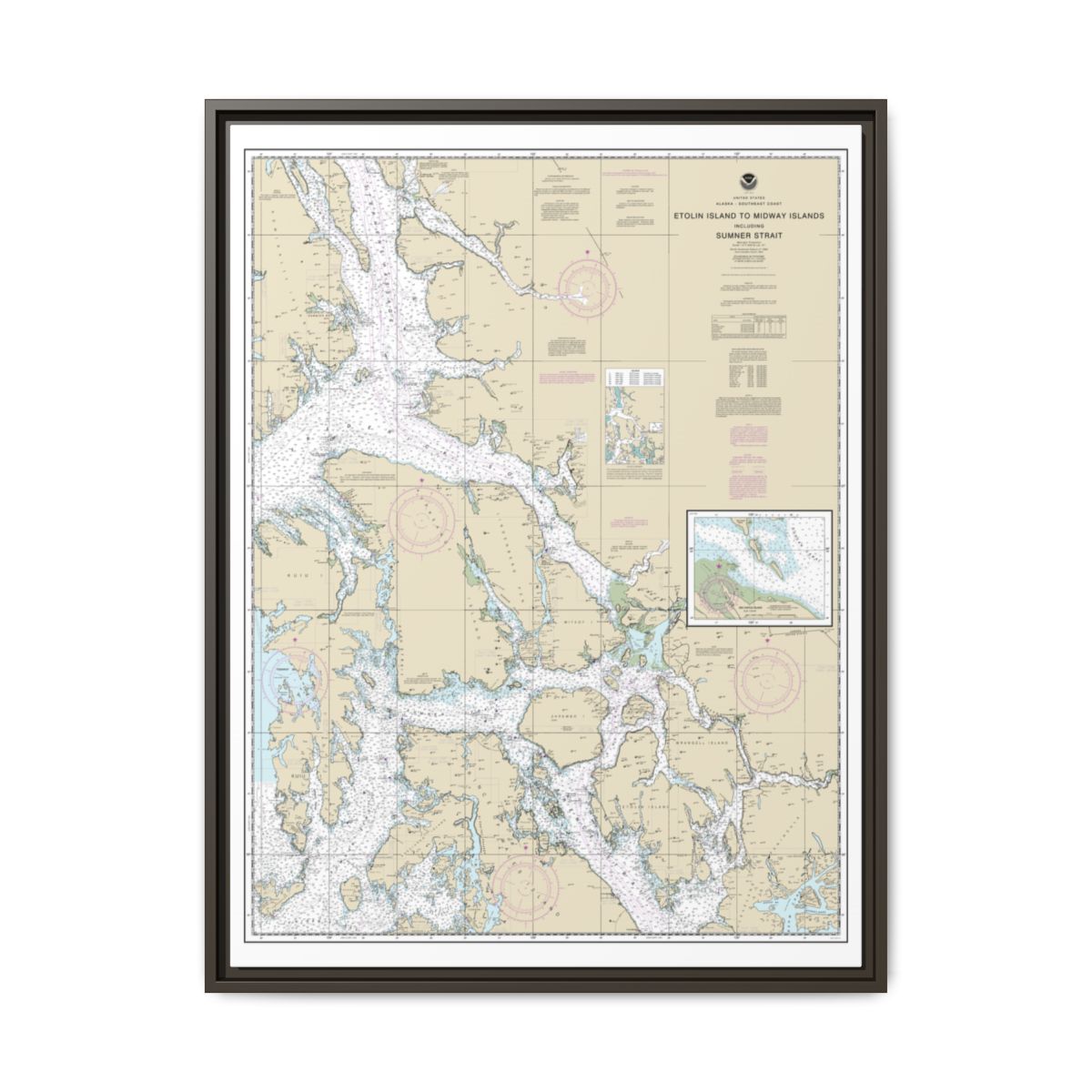 Chart 17360 Etolin Island to Midway Islands, including Sumner Strait;Holkham Bay;Big Castle Island - NOAA Nautical Chart Floating Frame Canvas | 24" x 32" | 30" x 40" - Espresso front
