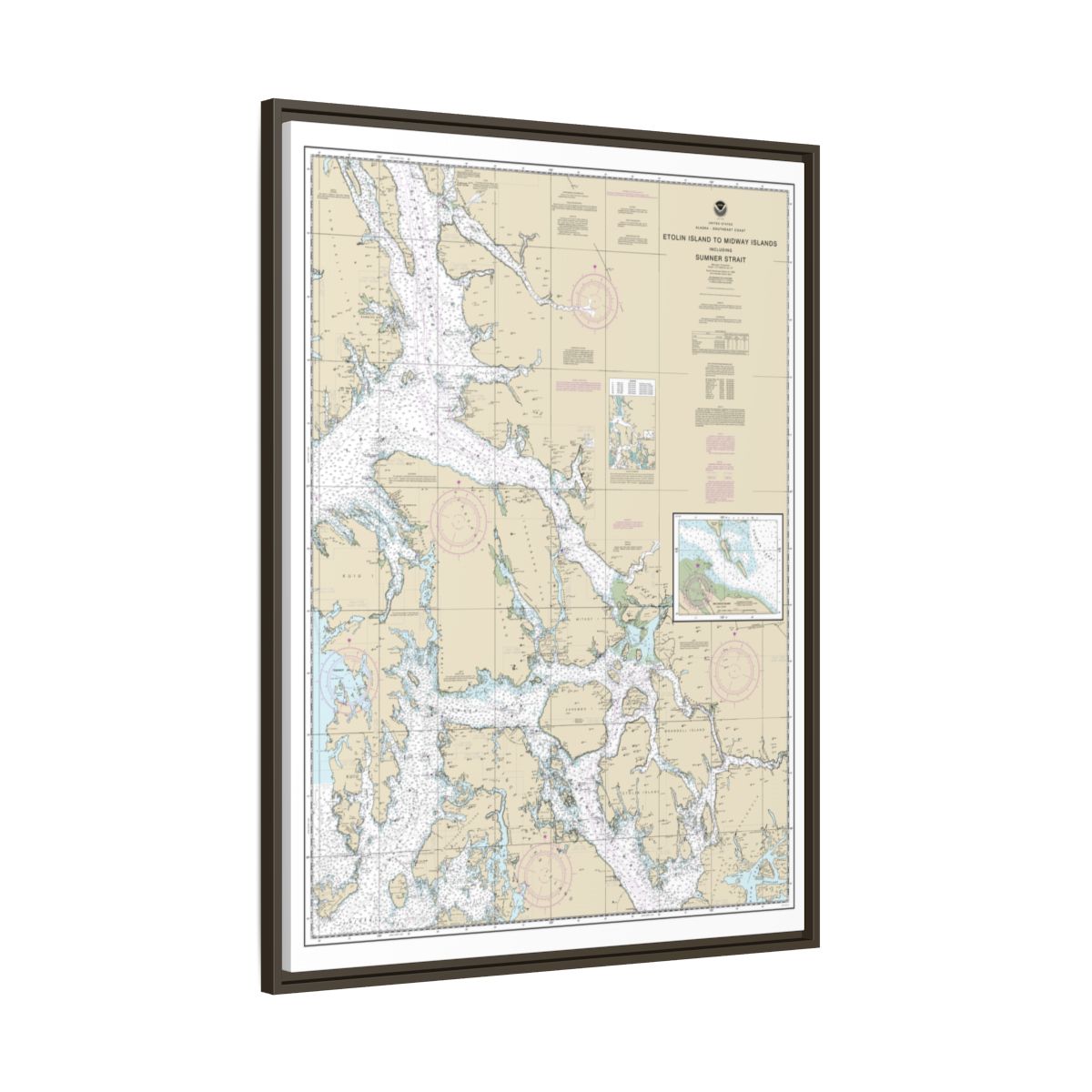 Chart 17360 Etolin Island to Midway Islands, including Sumner Strait;Holkham Bay;Big Castle Island - NOAA Nautical Chart Floating Frame Canvas | 24" x 32" | 30" x 40" - Espresso side