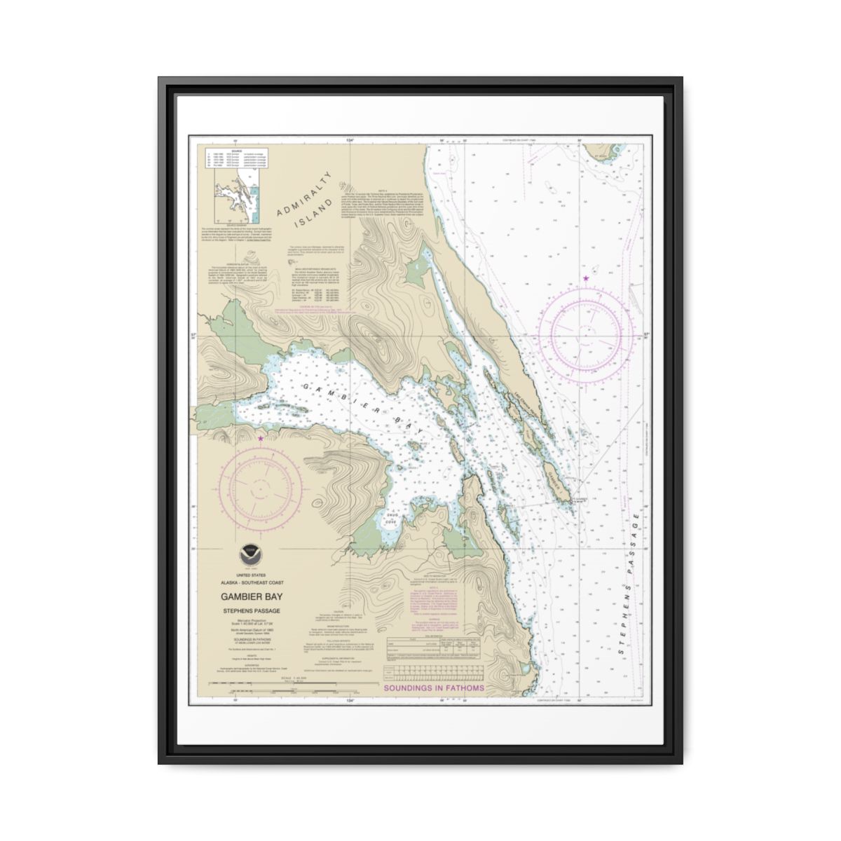Chart 17362 Gambier Bay, Stephens Passage - NOAA Nautical Chart Floating Frame Canvas | 24" x 32" | 30" x 40" - Black front