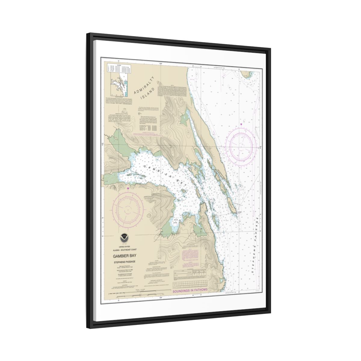 Chart 17362 Gambier Bay, Stephens Passage - NOAA Nautical Chart Floating Frame Canvas | 24" x 32" | 30" x 40" - Black side