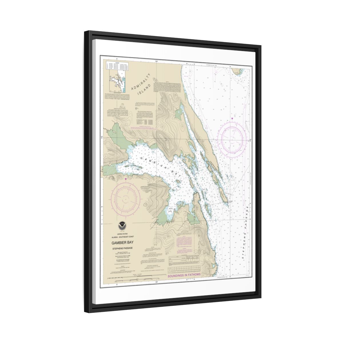 Chart 17362 Gambier Bay, Stephens Passage - NOAA Nautical Chart Floating Frame Canvas | 24" x 32" | 30" x 40" - Black side