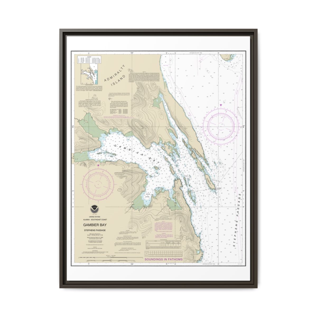 Chart 17362 Gambier Bay, Stephens Passage - NOAA Nautical Chart Floating Frame Canvas | 24" x 32" | 30" x 40" - Espresso front