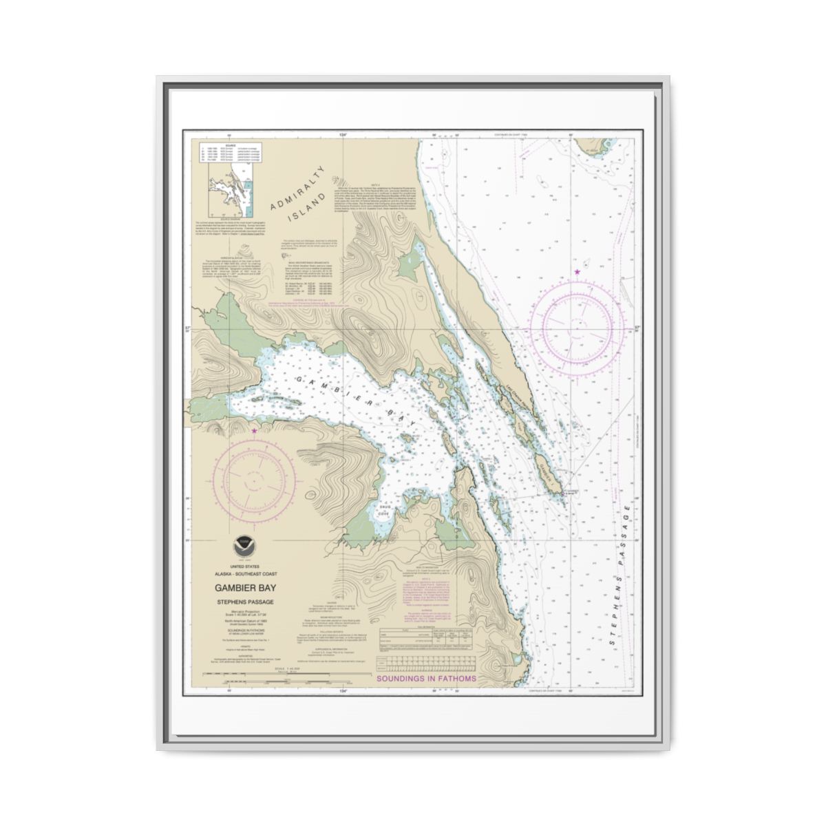 Chart 17362 Gambier Bay, Stephens Passage - NOAA Nautical Chart Floating Frame Canvas | 24" x 32" | 30" x 40" - White front