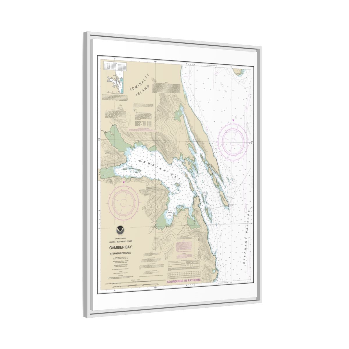 Chart 17362 Gambier Bay, Stephens Passage - NOAA Nautical Chart Floating Frame Canvas | 24" x 32" | 30" x 40" - White side