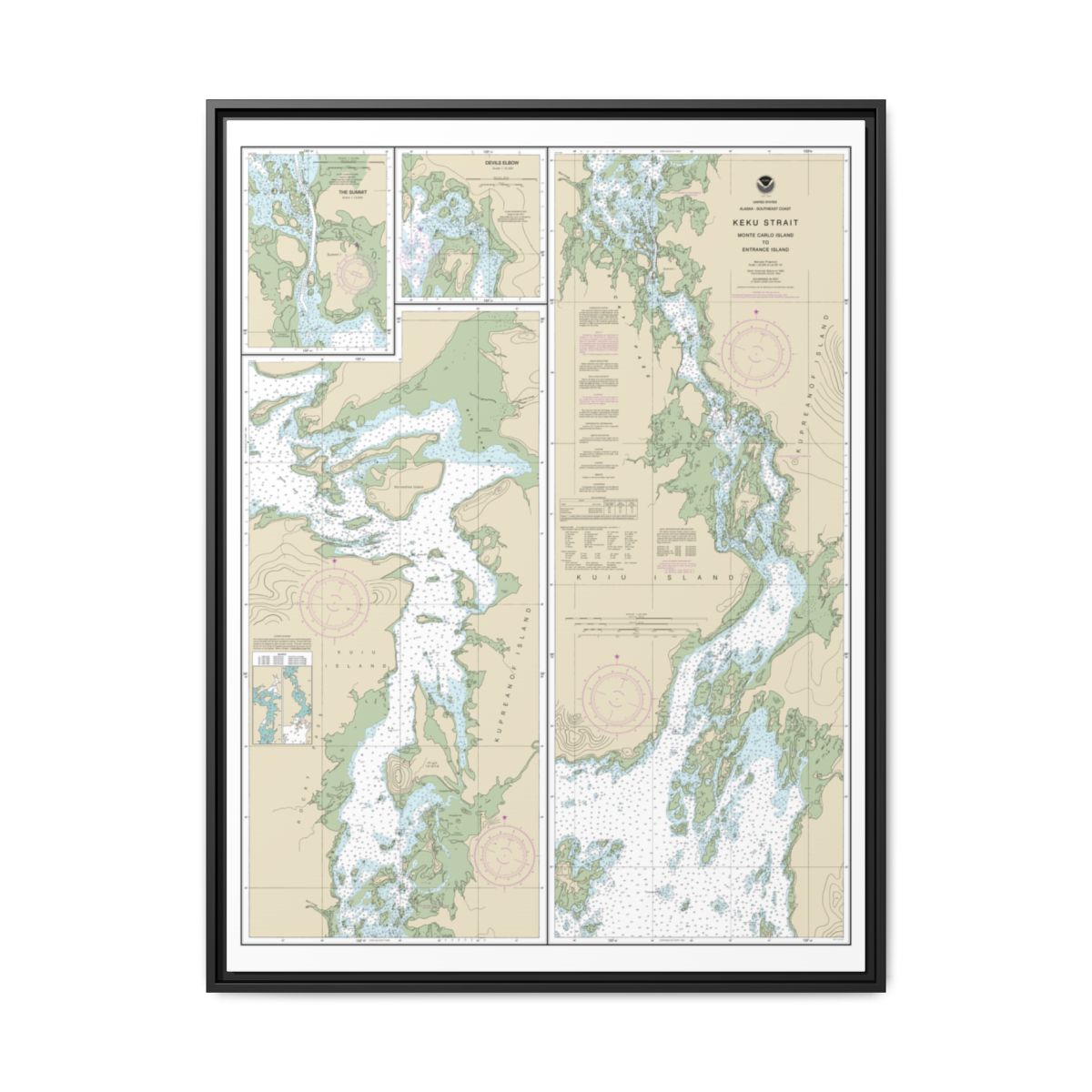 Chart 17372 Keku Strait-Monte Carlo Island to Entrance Island;The Summit;Devils Elbow - NOAA Nautical Chart Floating Frame Canvas | 24" x 32" | 30" x 40" - Black front